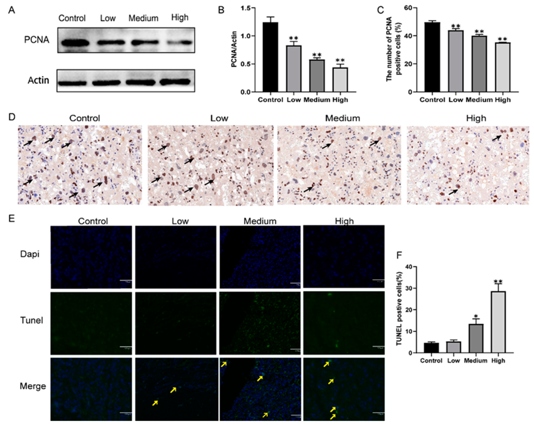 Toxics 10 00733 g005