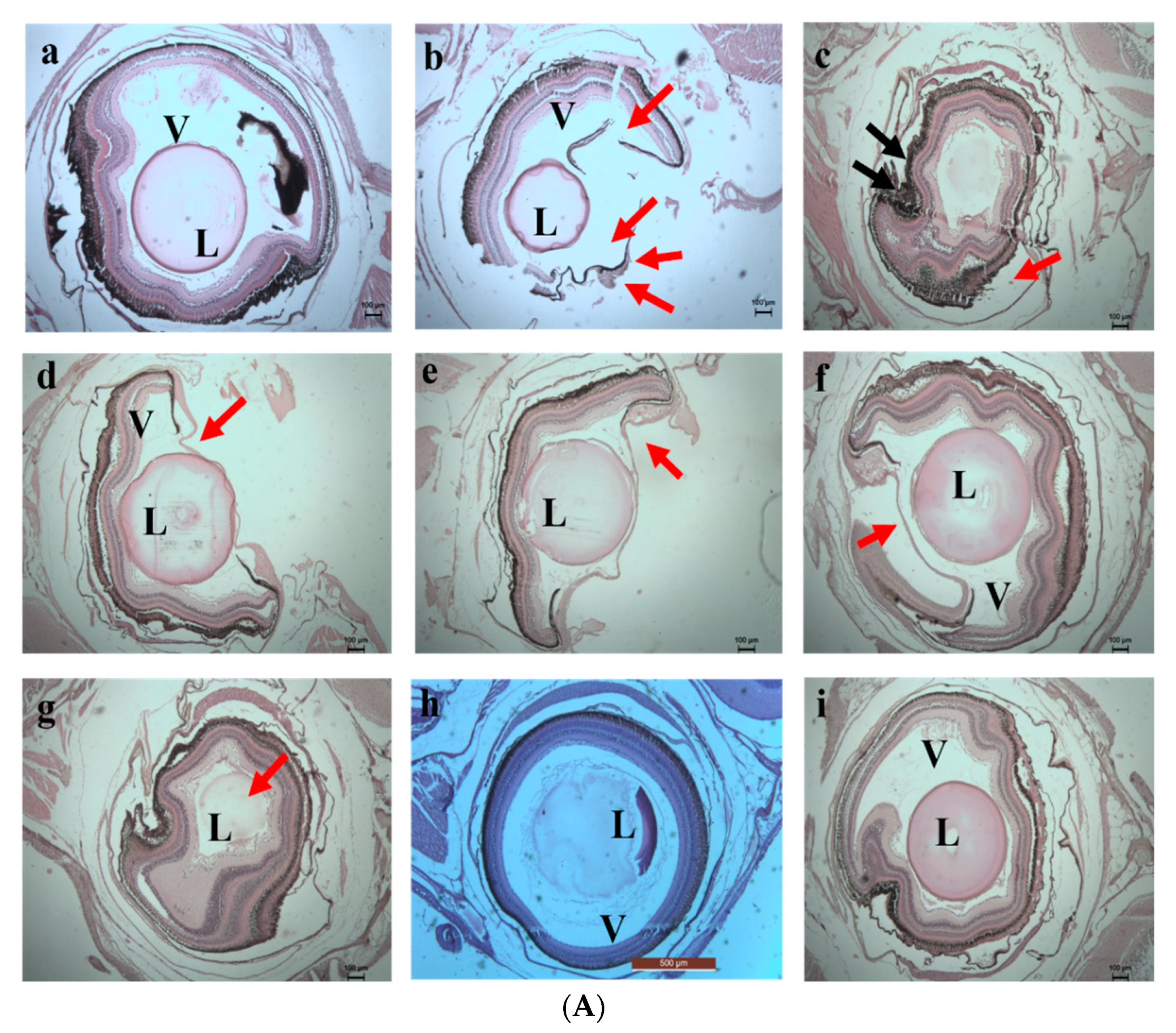 Toxics 10 00742 g014a Toxics 10 00742 g014a