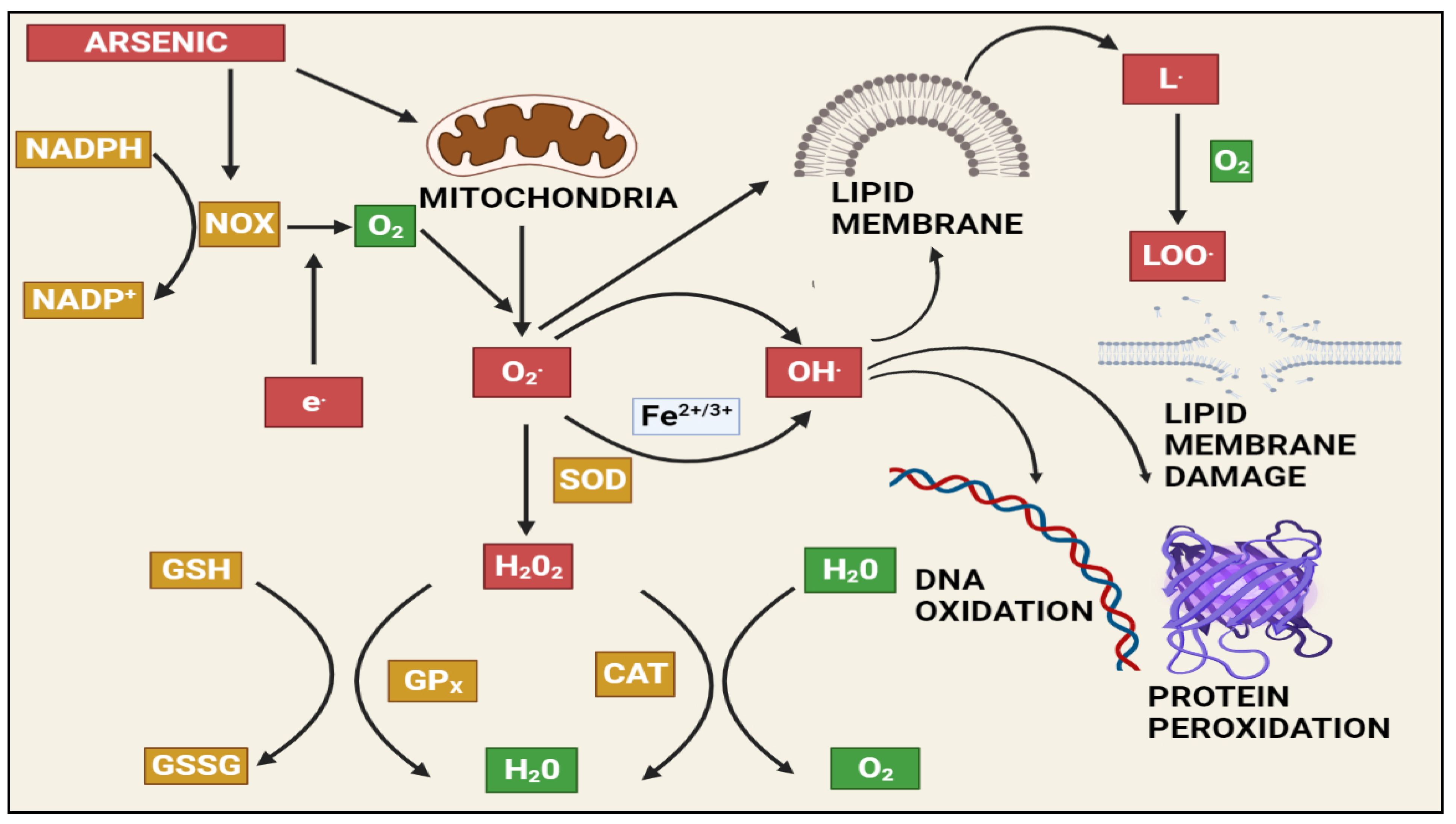 Toxics 10 00744 g002