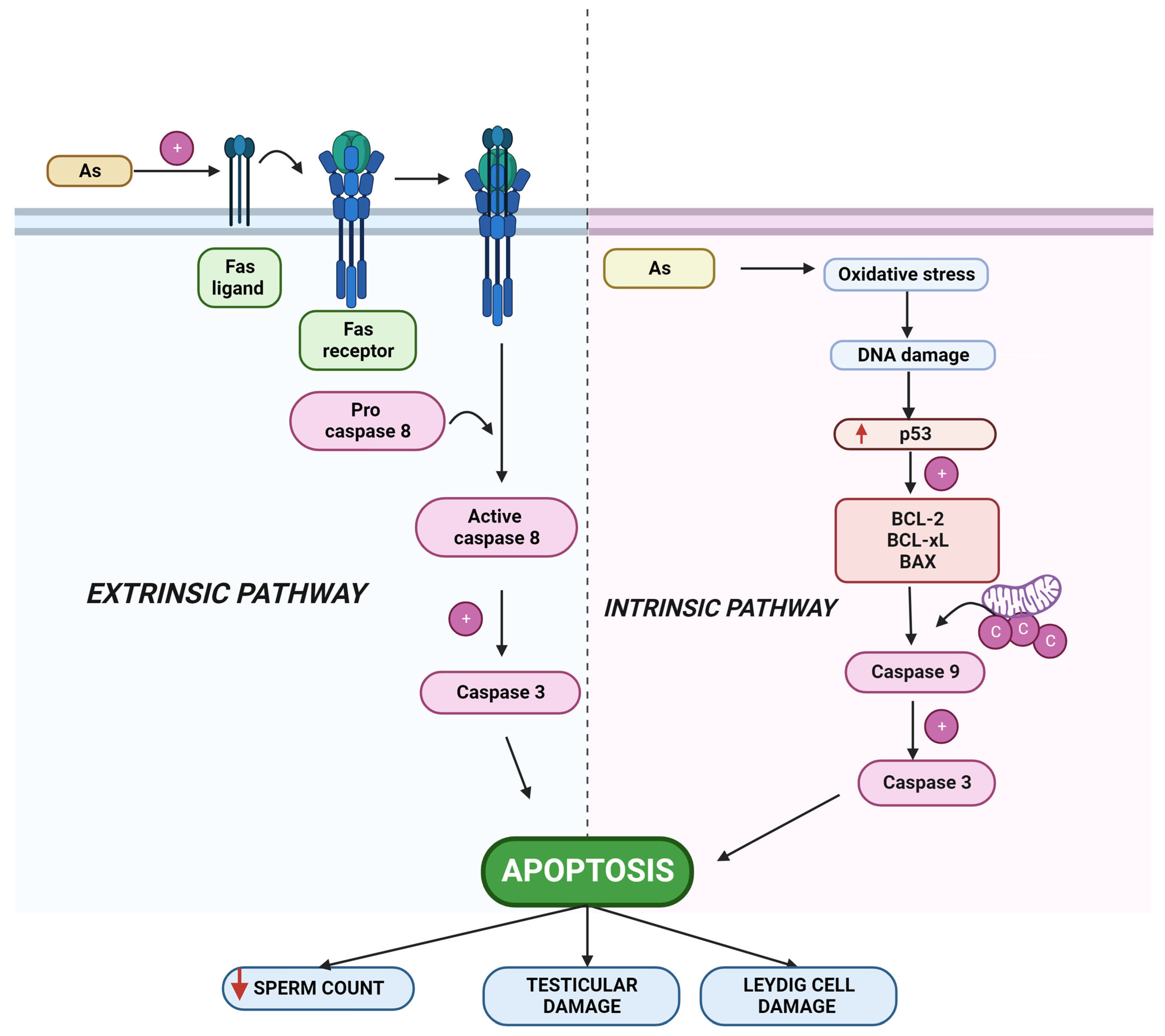 Toxics 10 00744 g004