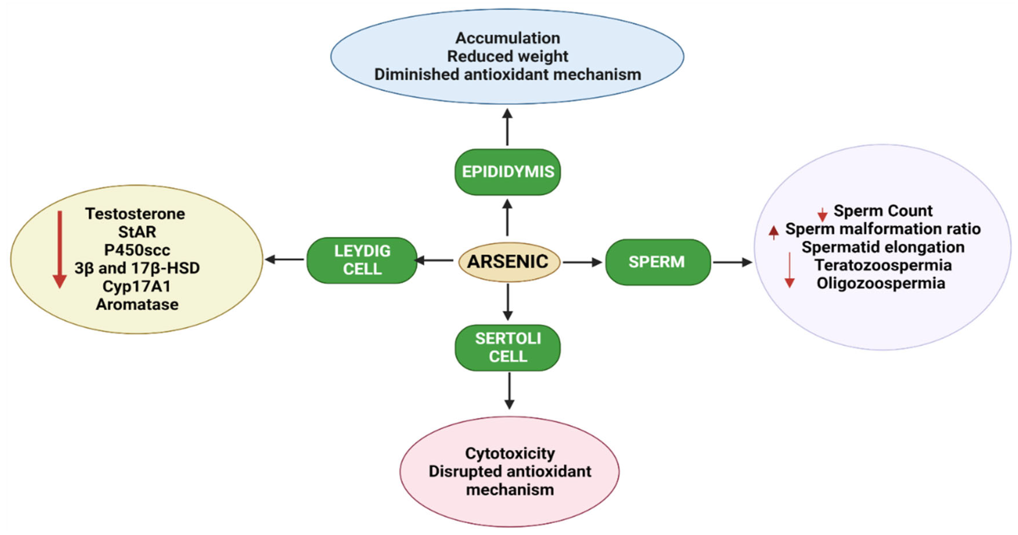 Toxics 10 00744 g005