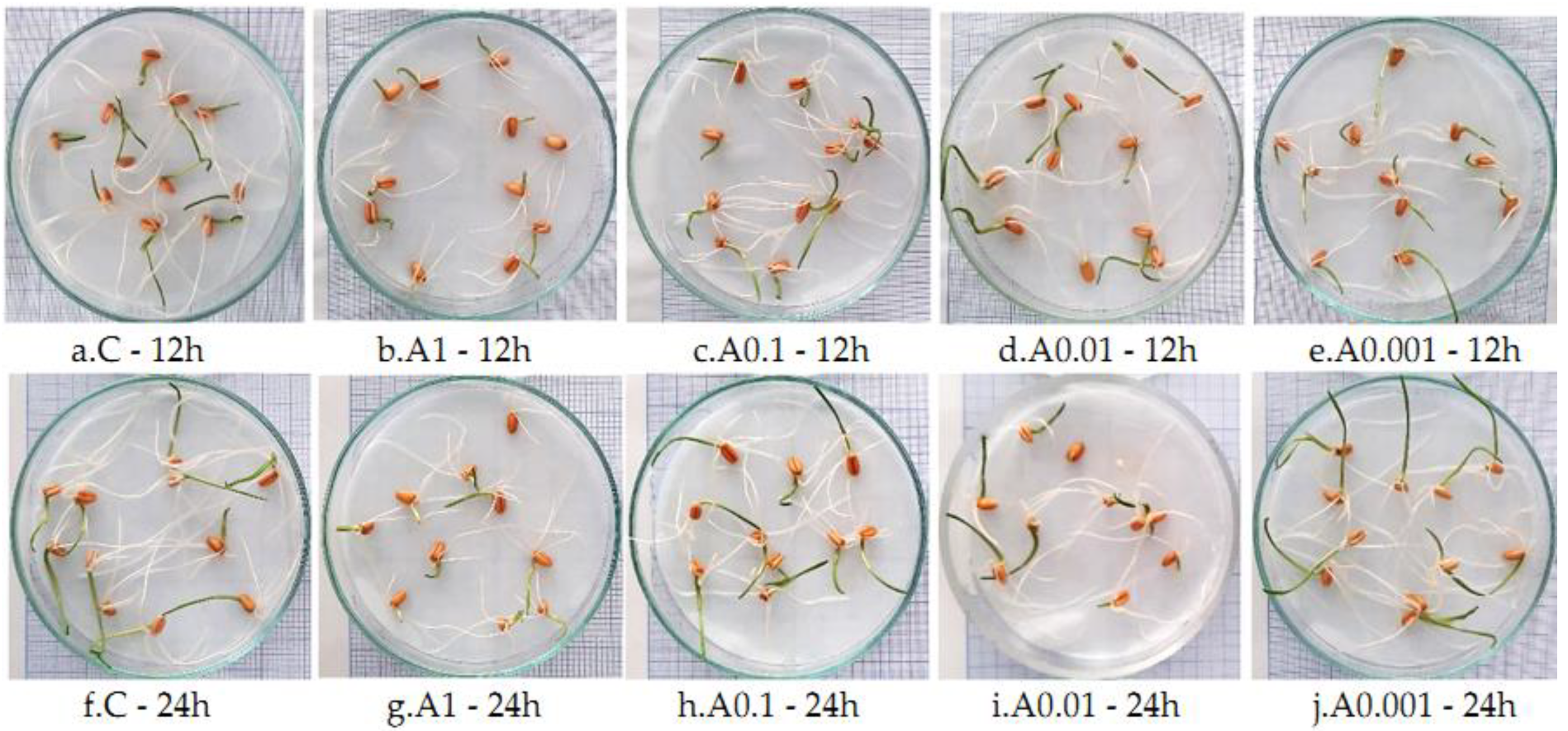 Toxics 10 00745 g006