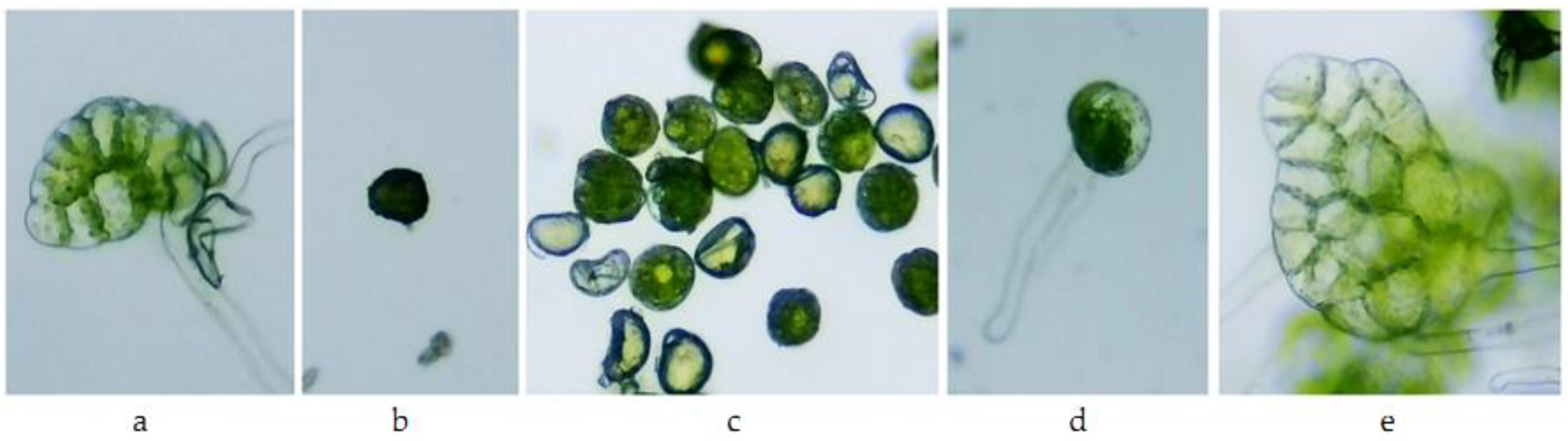 Toxics 10 00745 g008