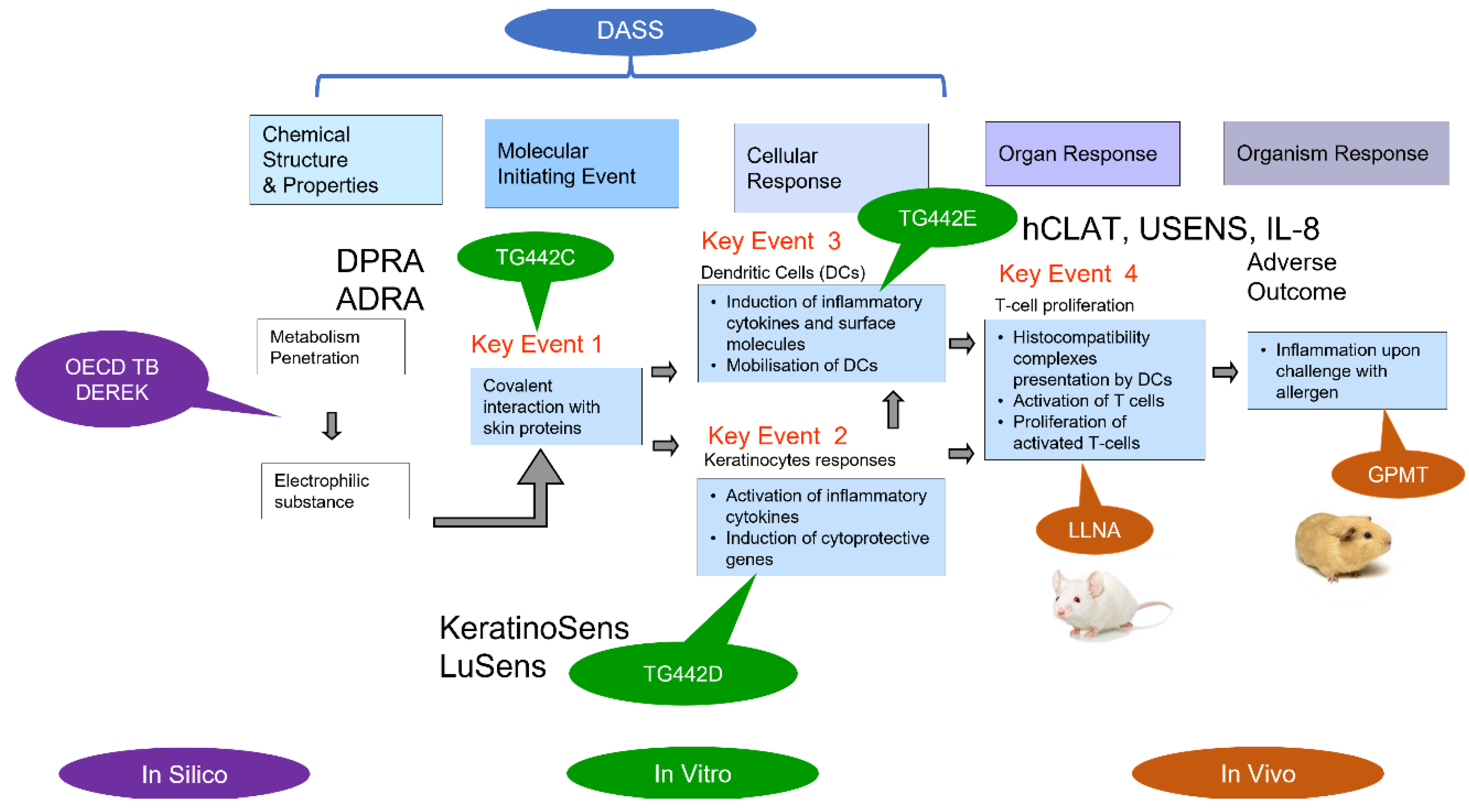 Toxics 10 00760 g002