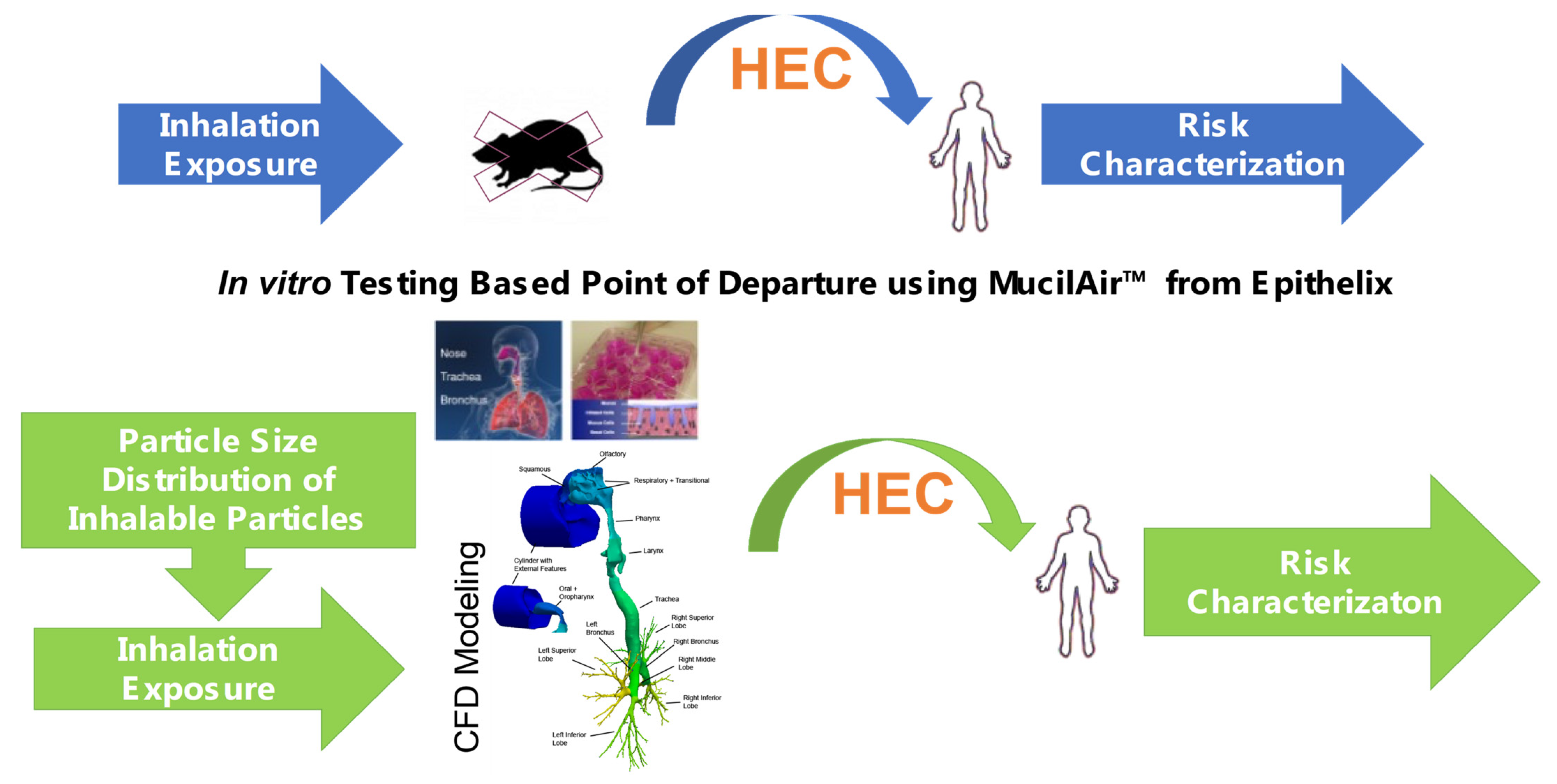 Toxics 10 00760 g006