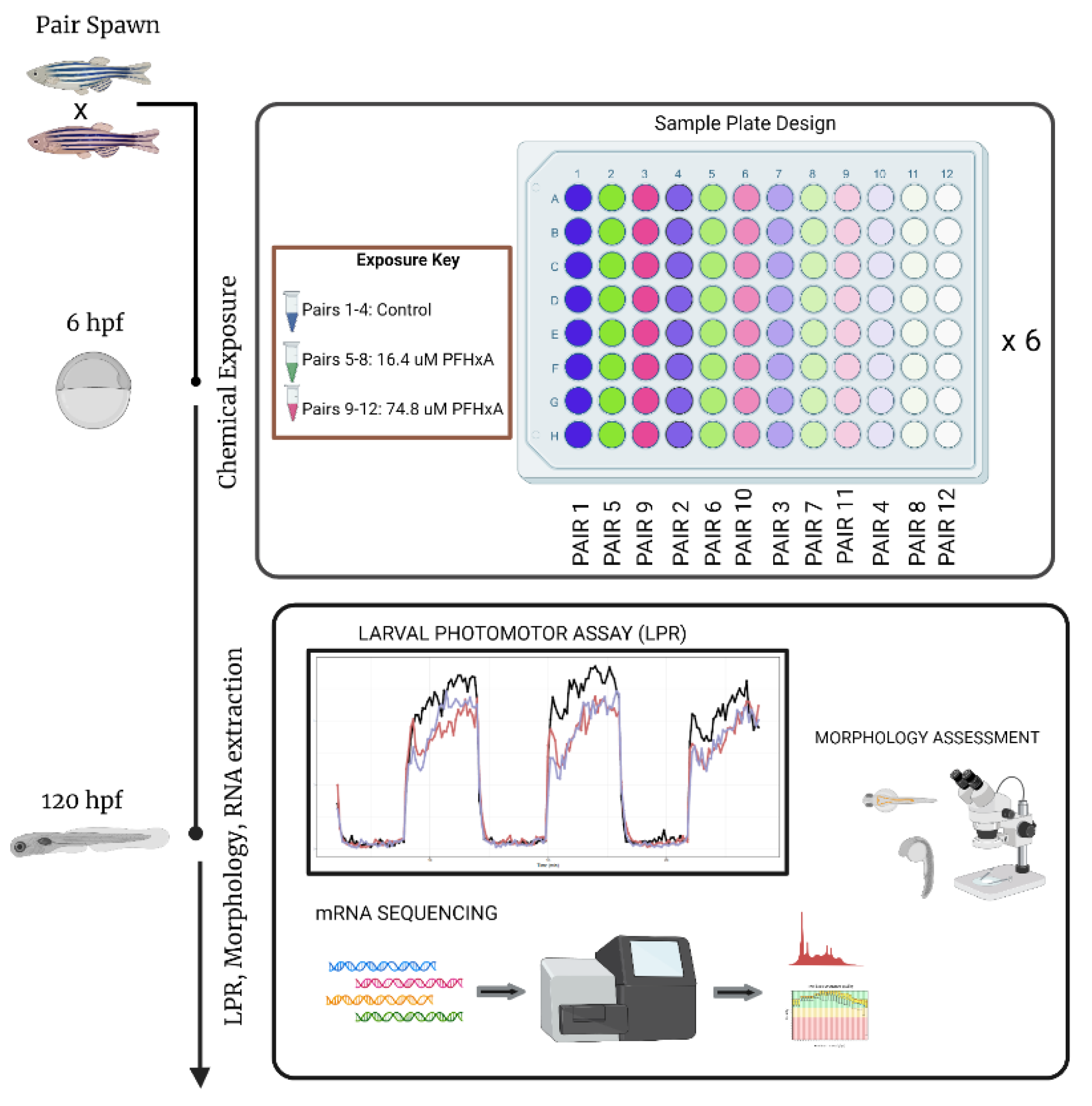 Toxics 10 00769 g001