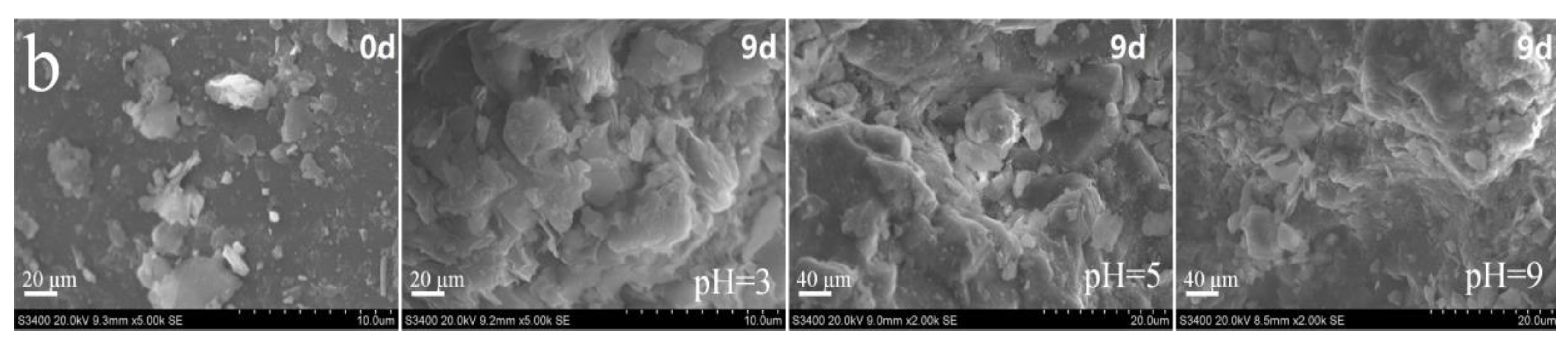 Toxics 10 00777 g006b