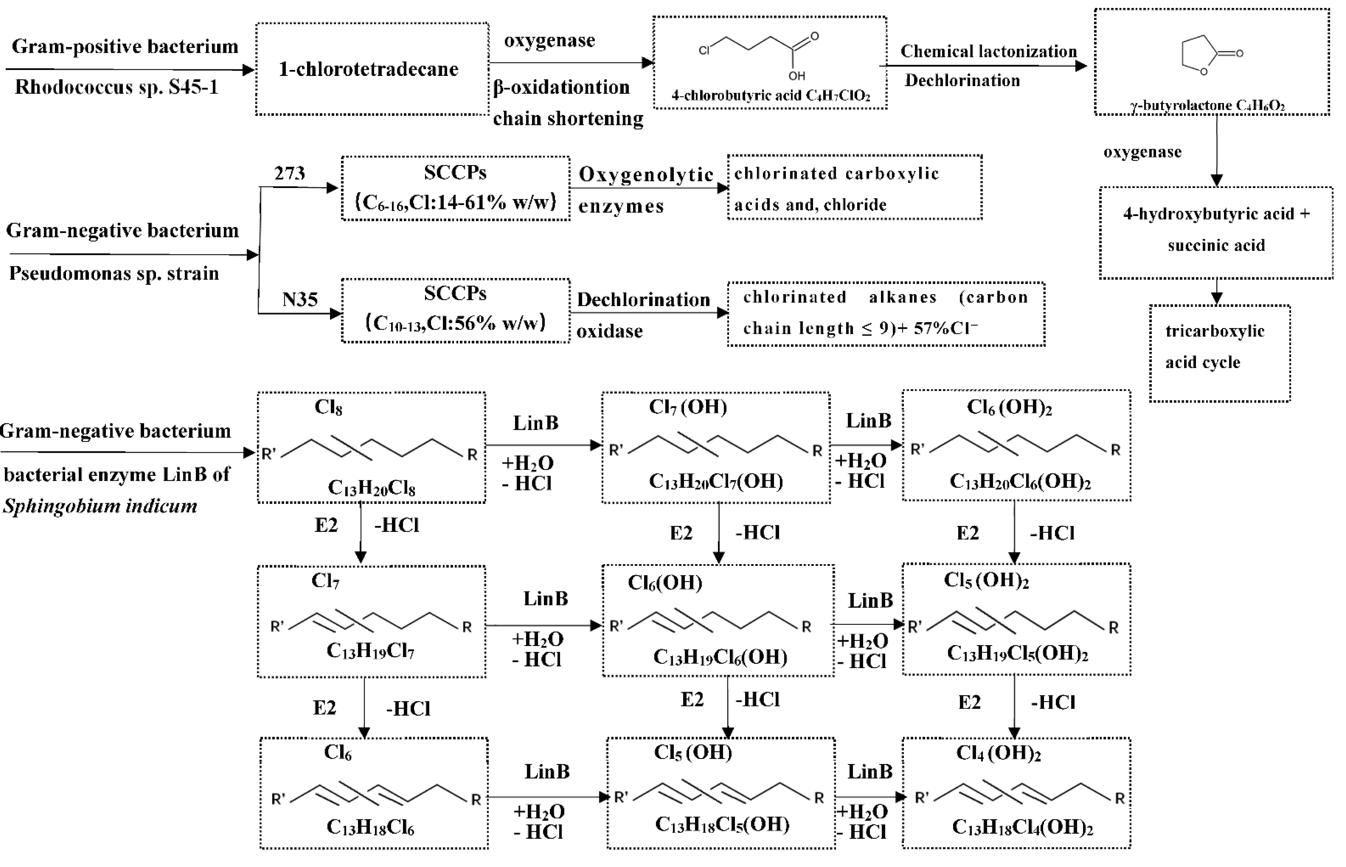Toxics 10 00778 g002