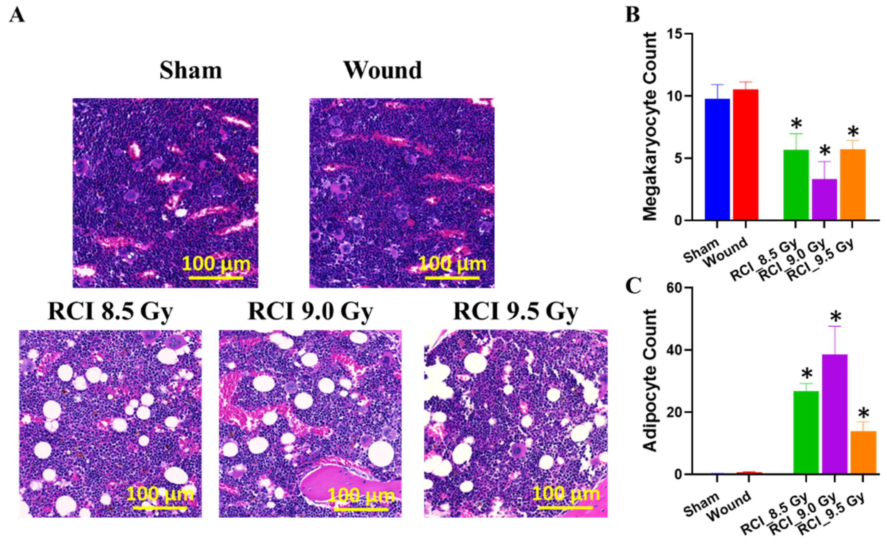Toxics 10 00785 g004