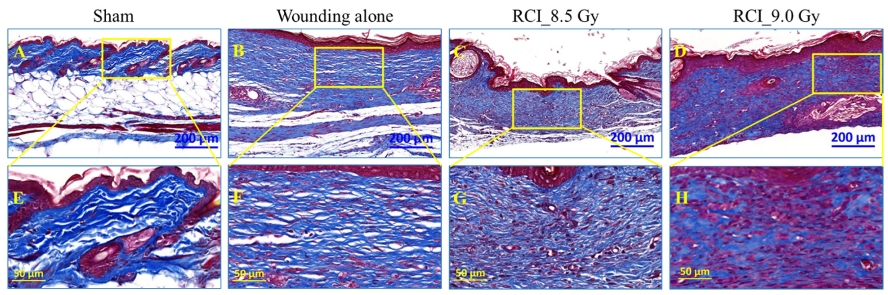 Toxics 10 00785 g008