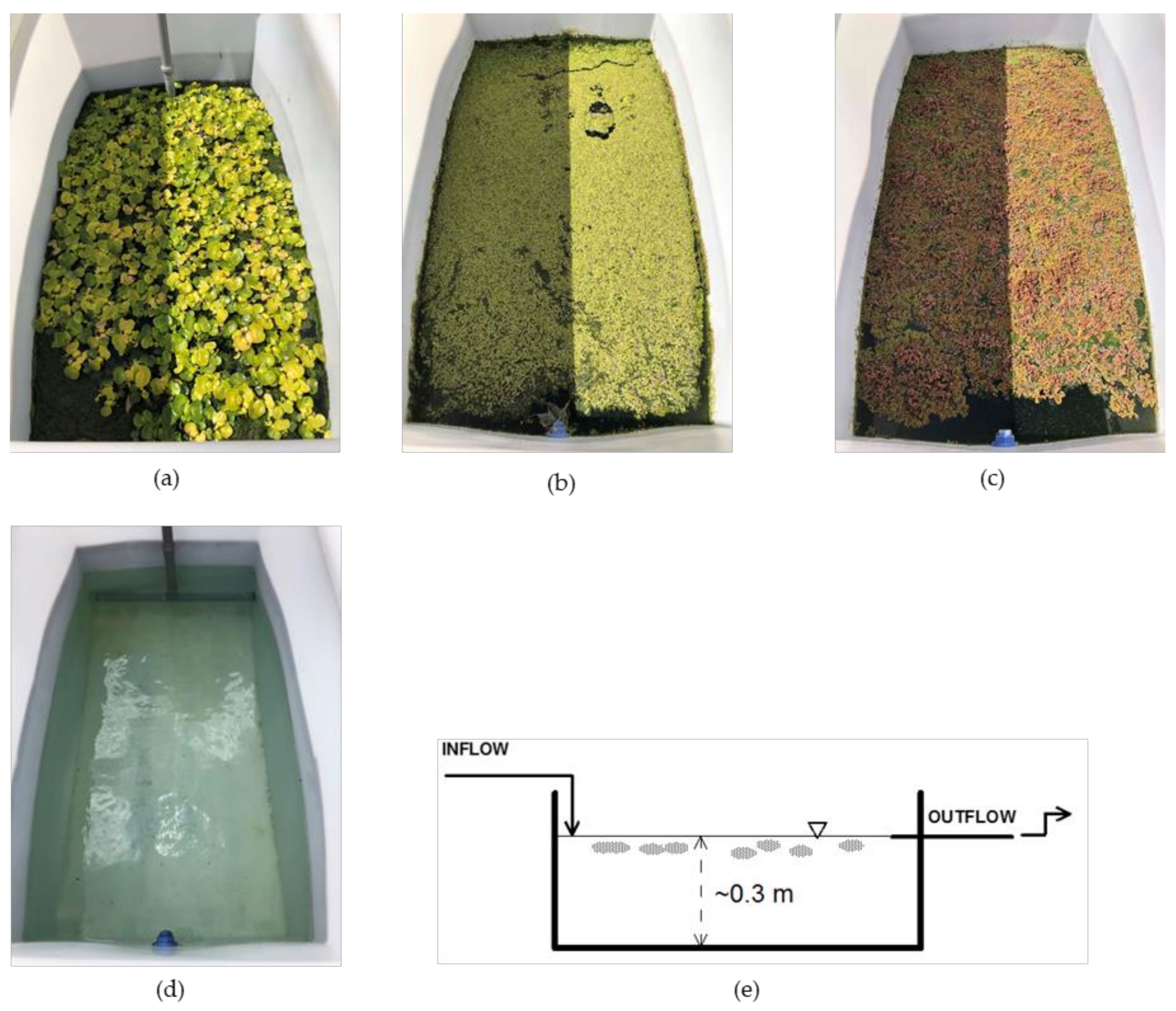 Toxics 10 00790 g001