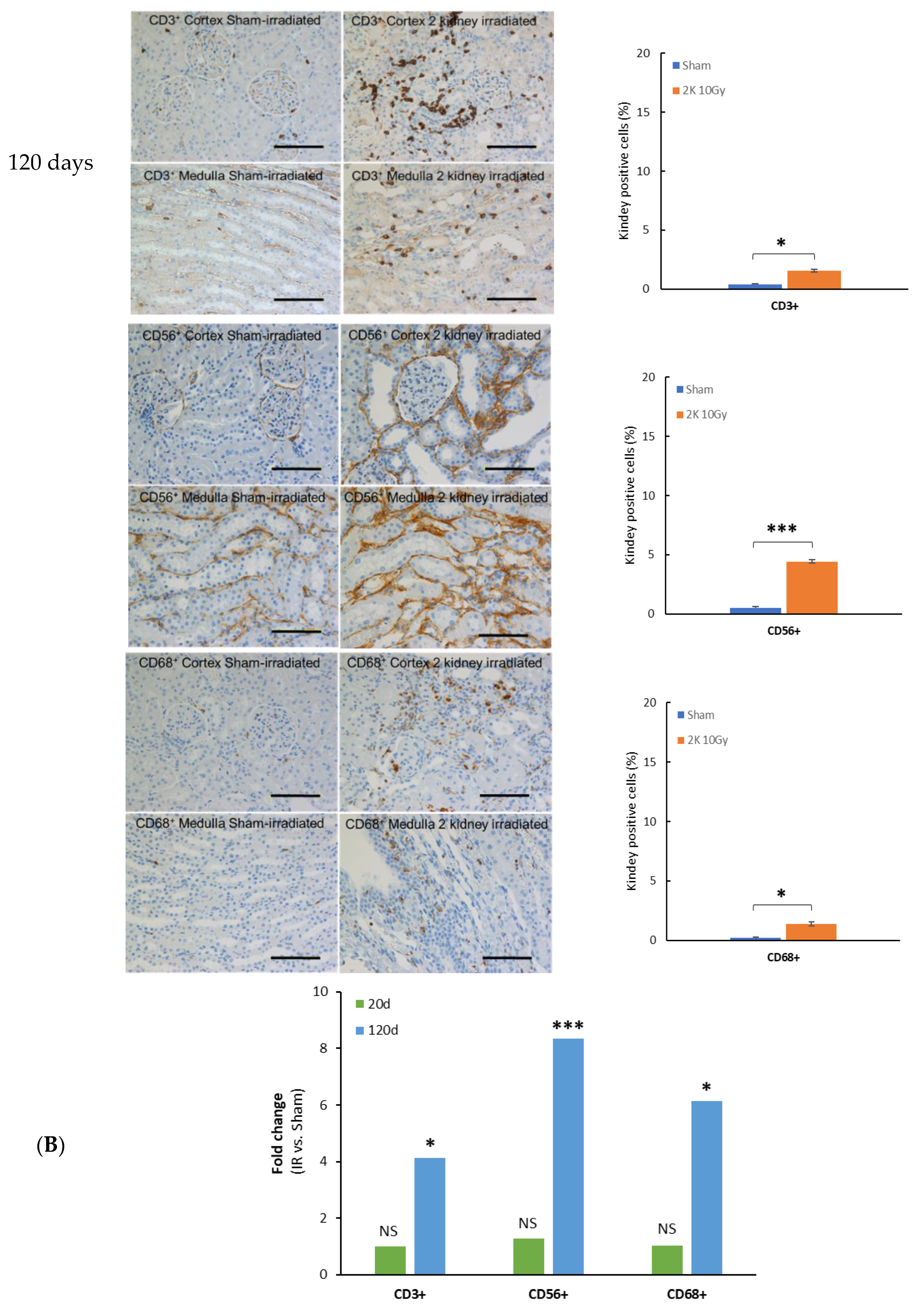 Toxics 10 00797 g002b