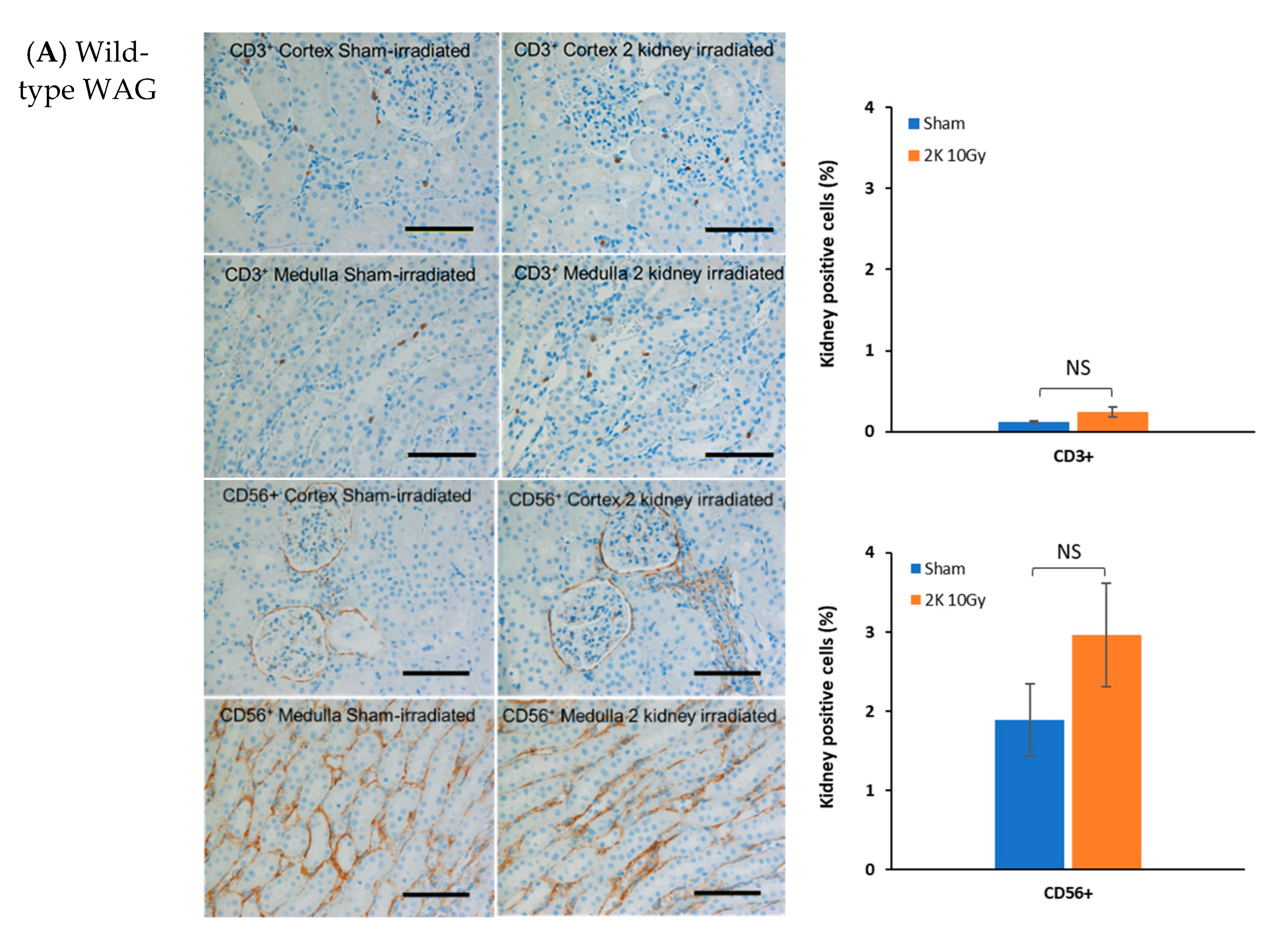 Toxics 10 00797 g007a