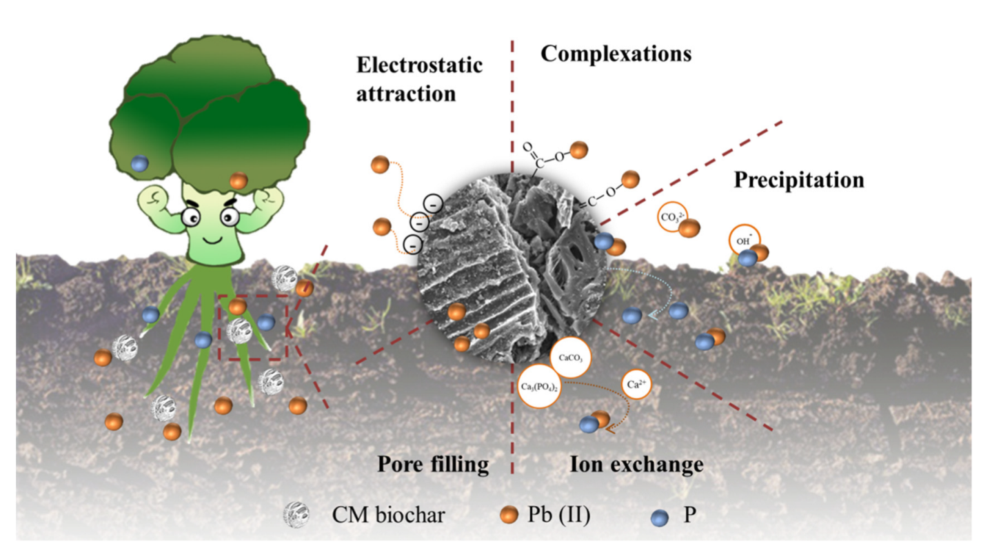 Toxics 11 00001 g008