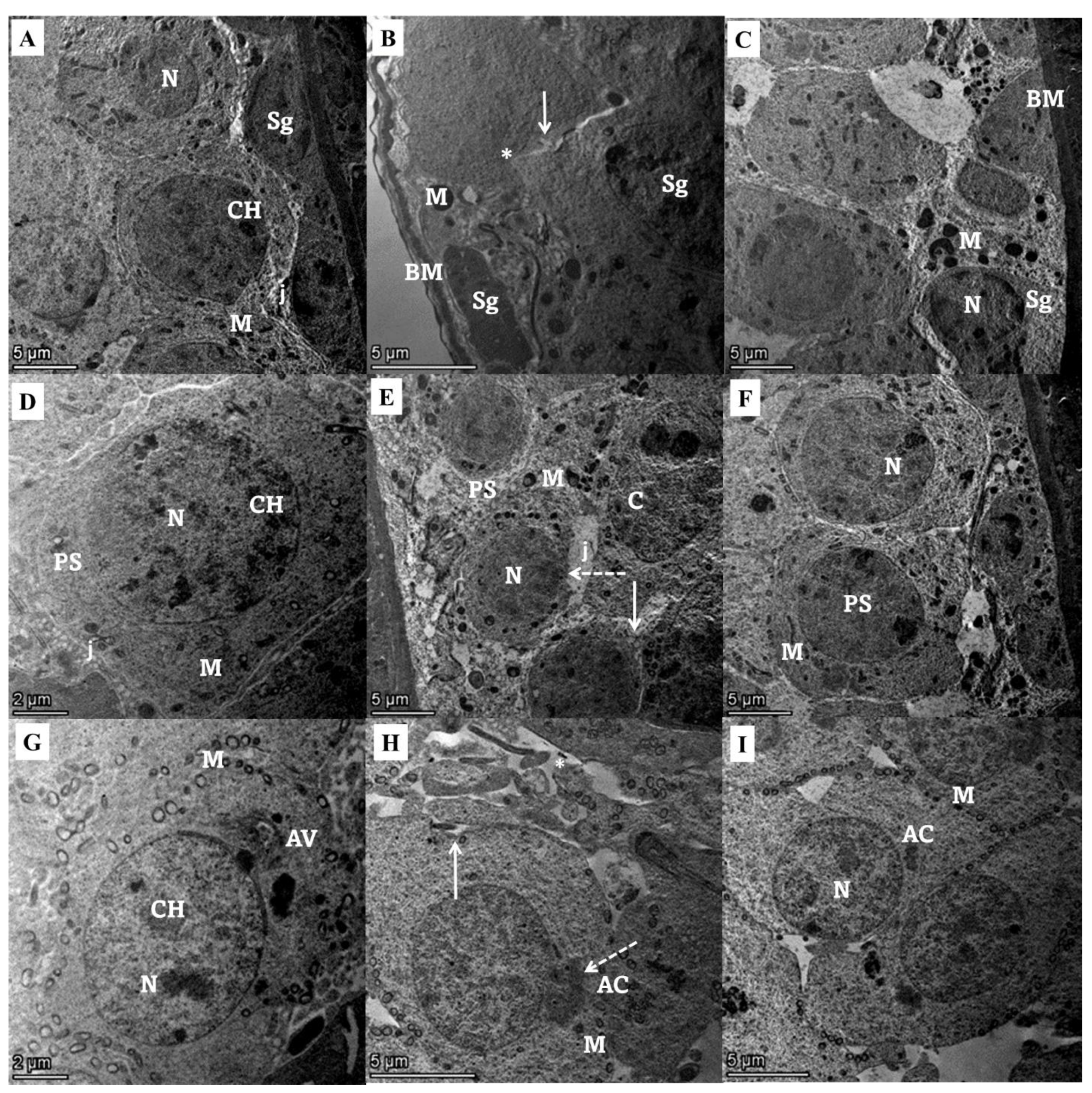 Toxics 11 00002 g005 Toxics 11 00002 g005