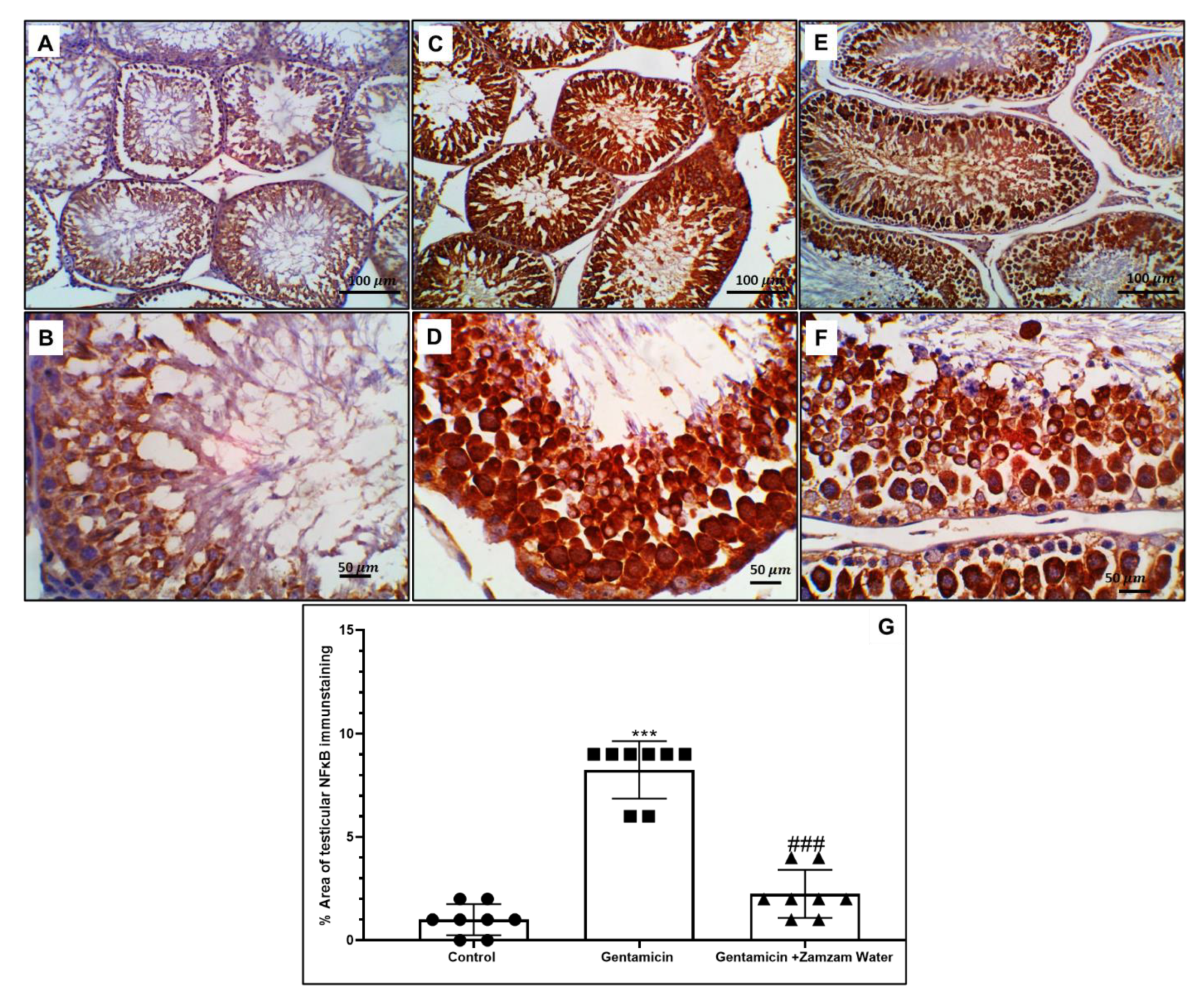 Toxics 11 00002 g006 Toxics 11 00002 g006