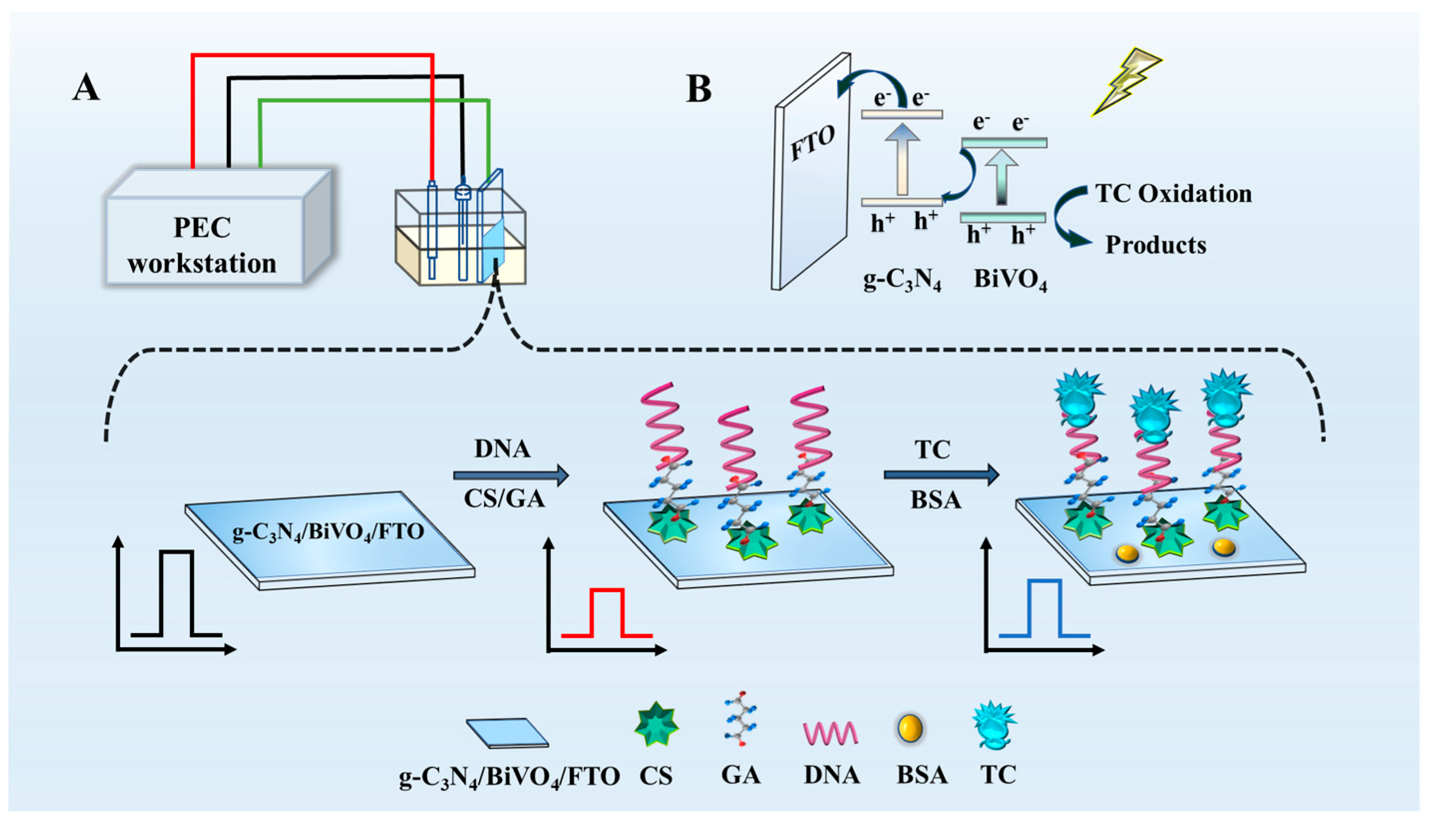 Toxics 11 00017 sch001