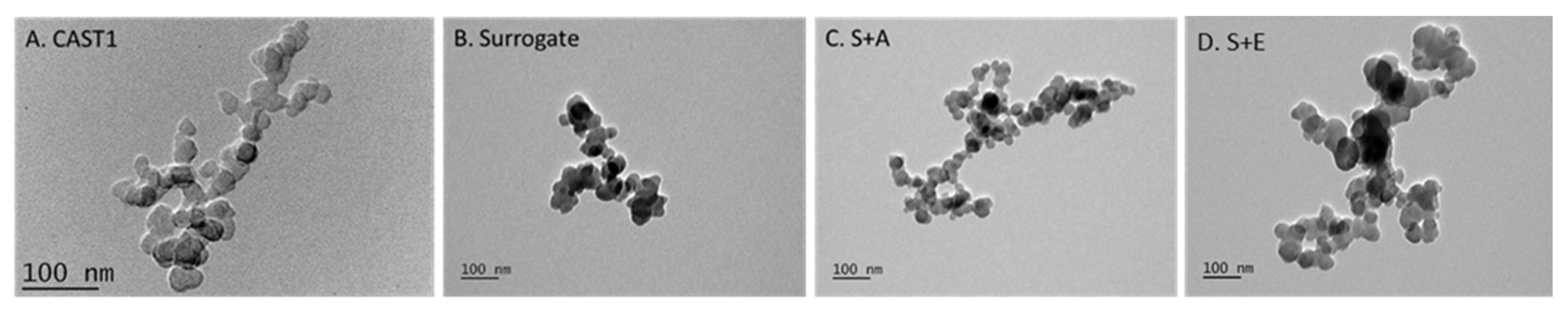 Toxics 11 00021 g001