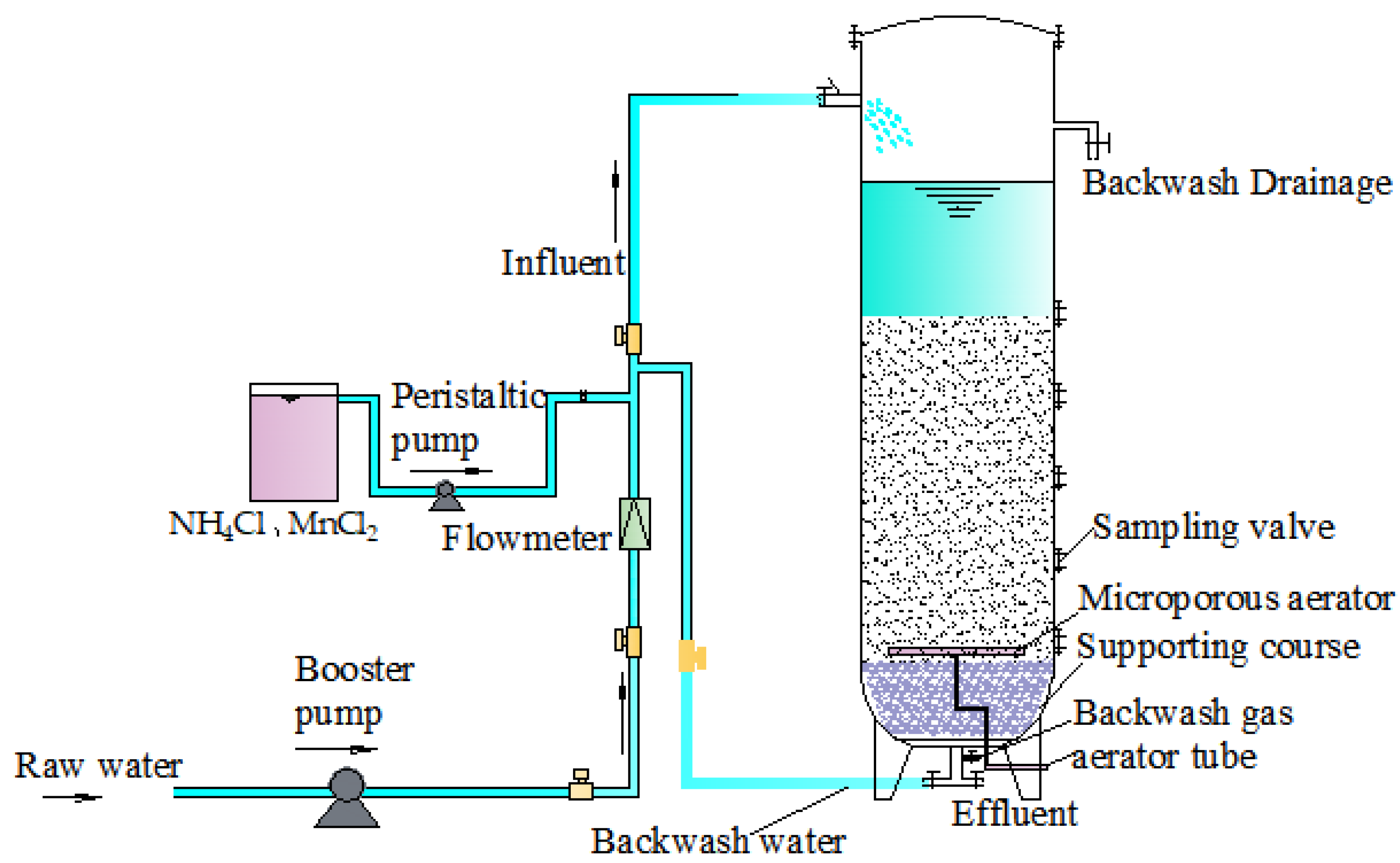 Toxics 11 00022 g001
