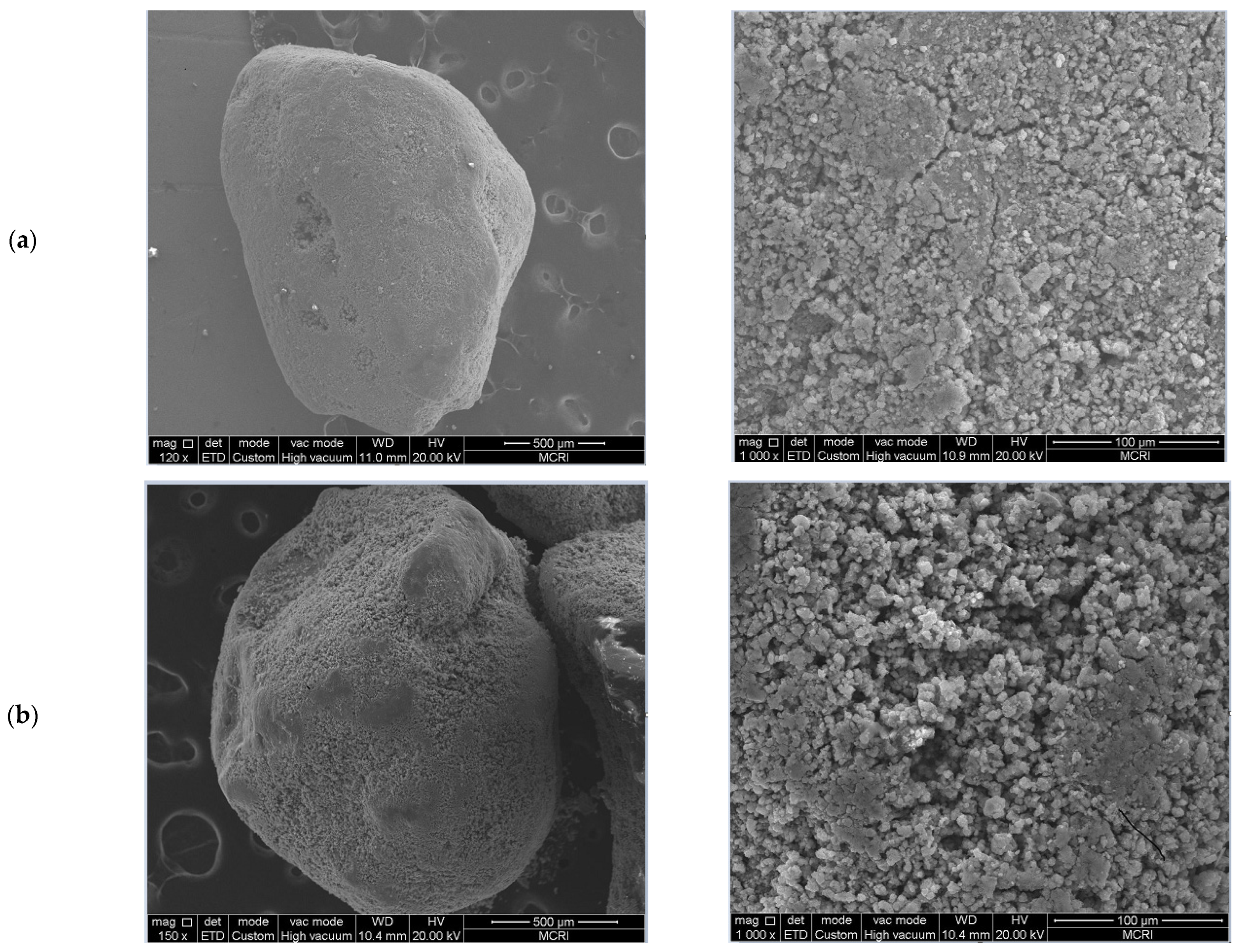 Toxics 11 00022 g003a