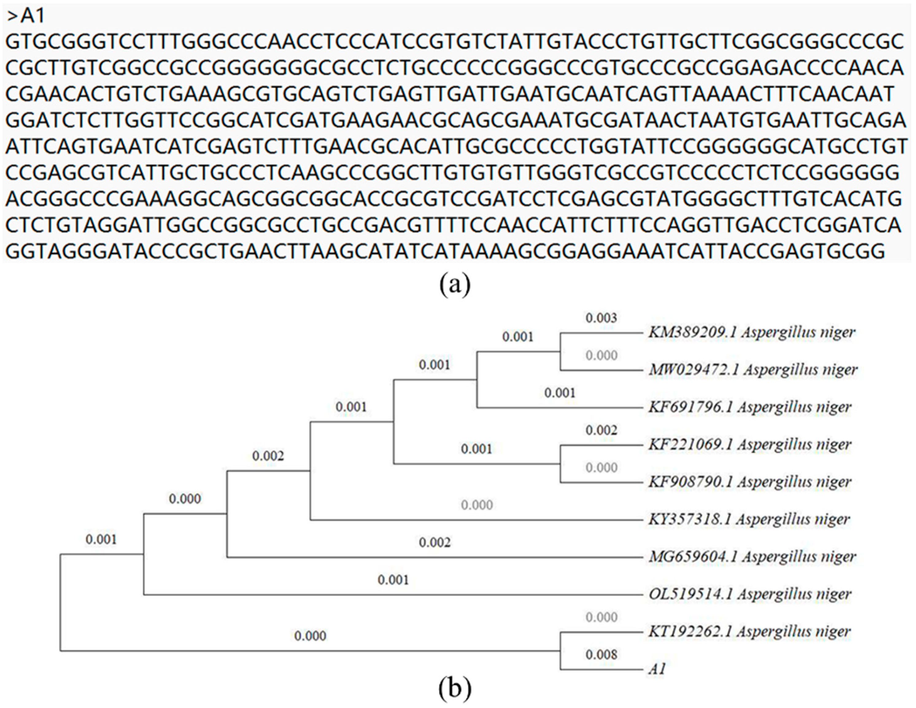 Toxics 11 00031 g001 Toxics 11 00031 g001