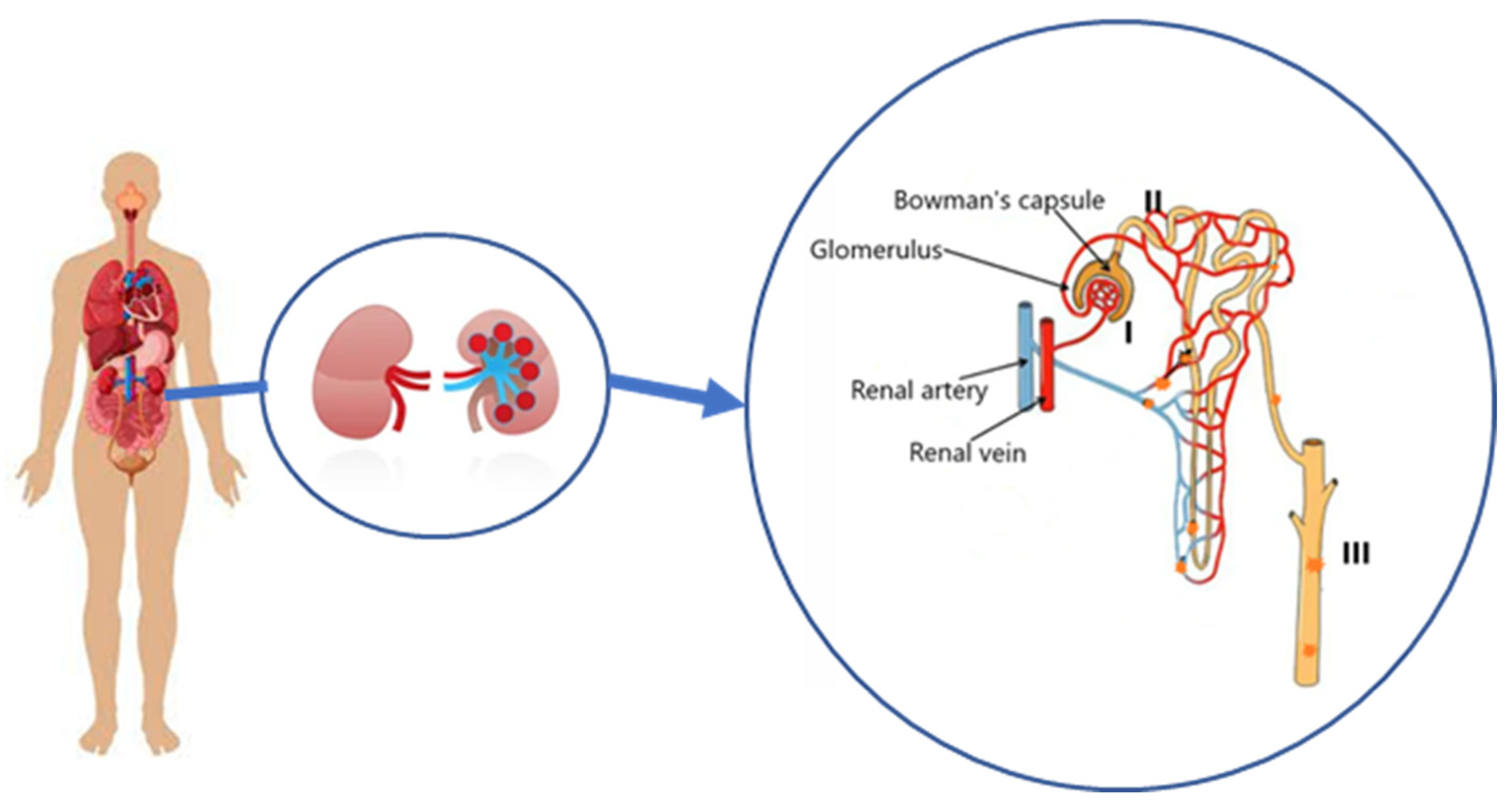 Toxics 11 00040 g001