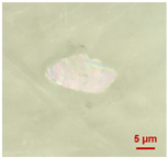 Toxics 11 00040 i001