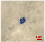 Toxics 11 00040 i005