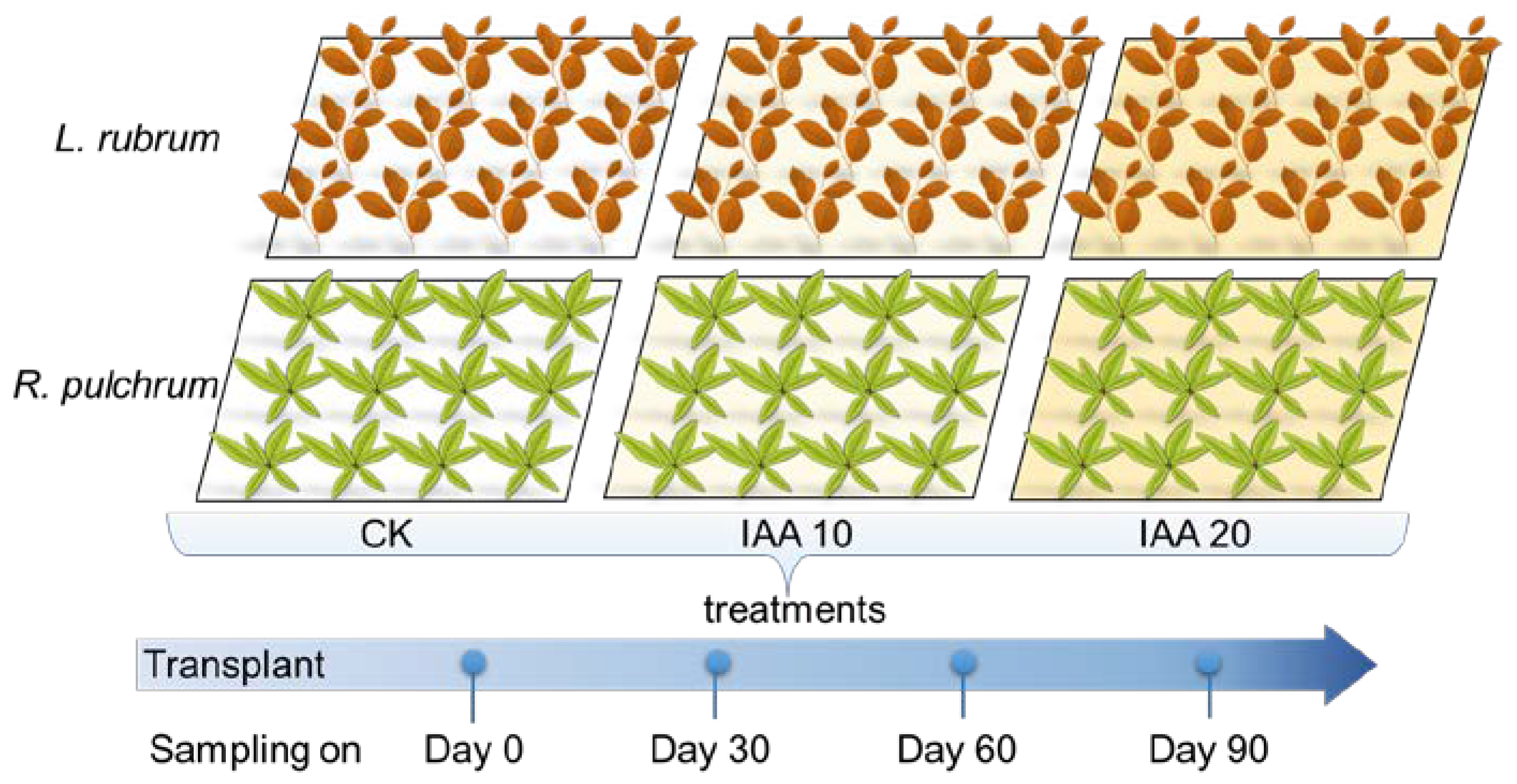 Toxics 11 00043 g001
