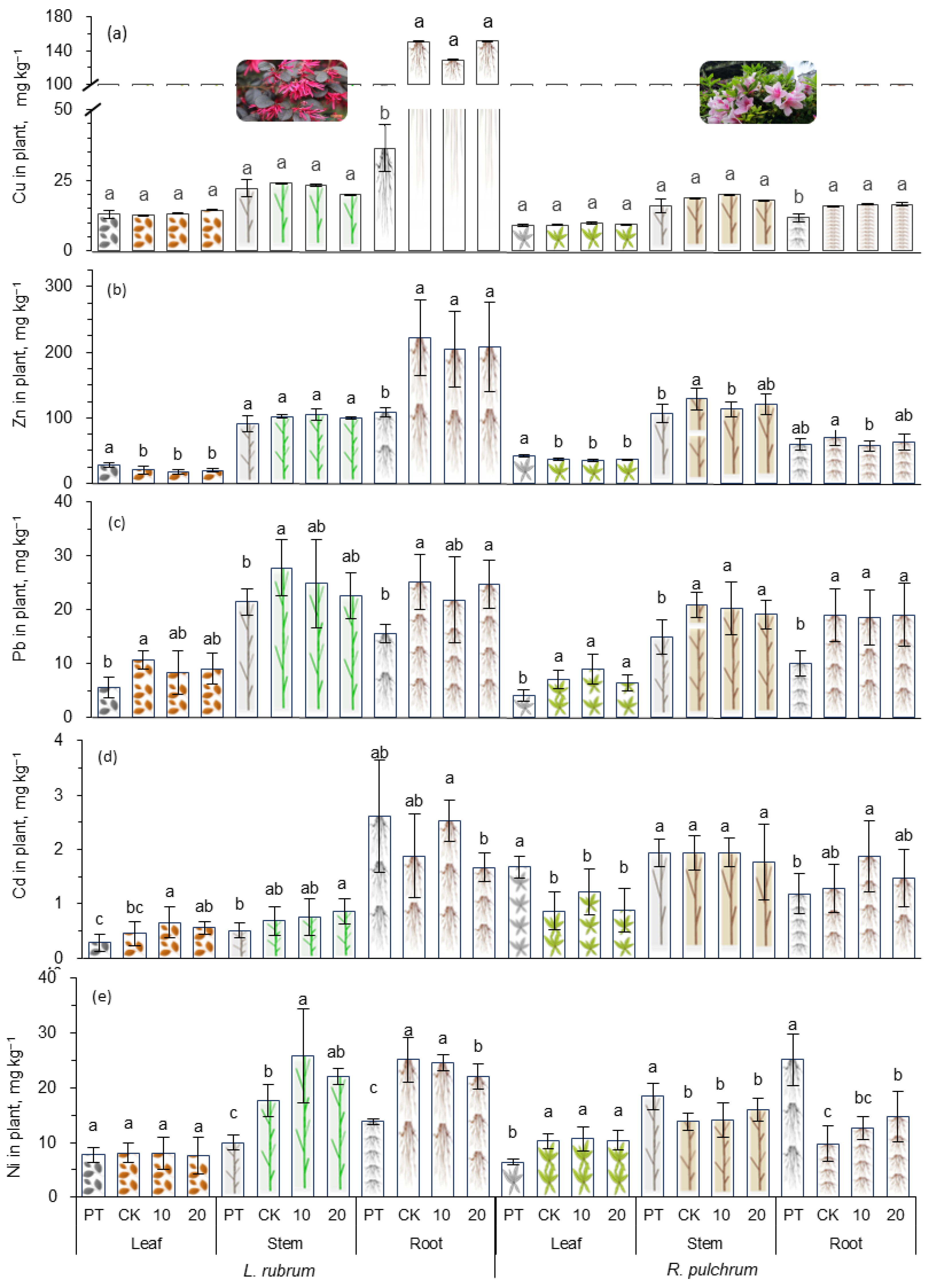 Toxics 11 00043 g005