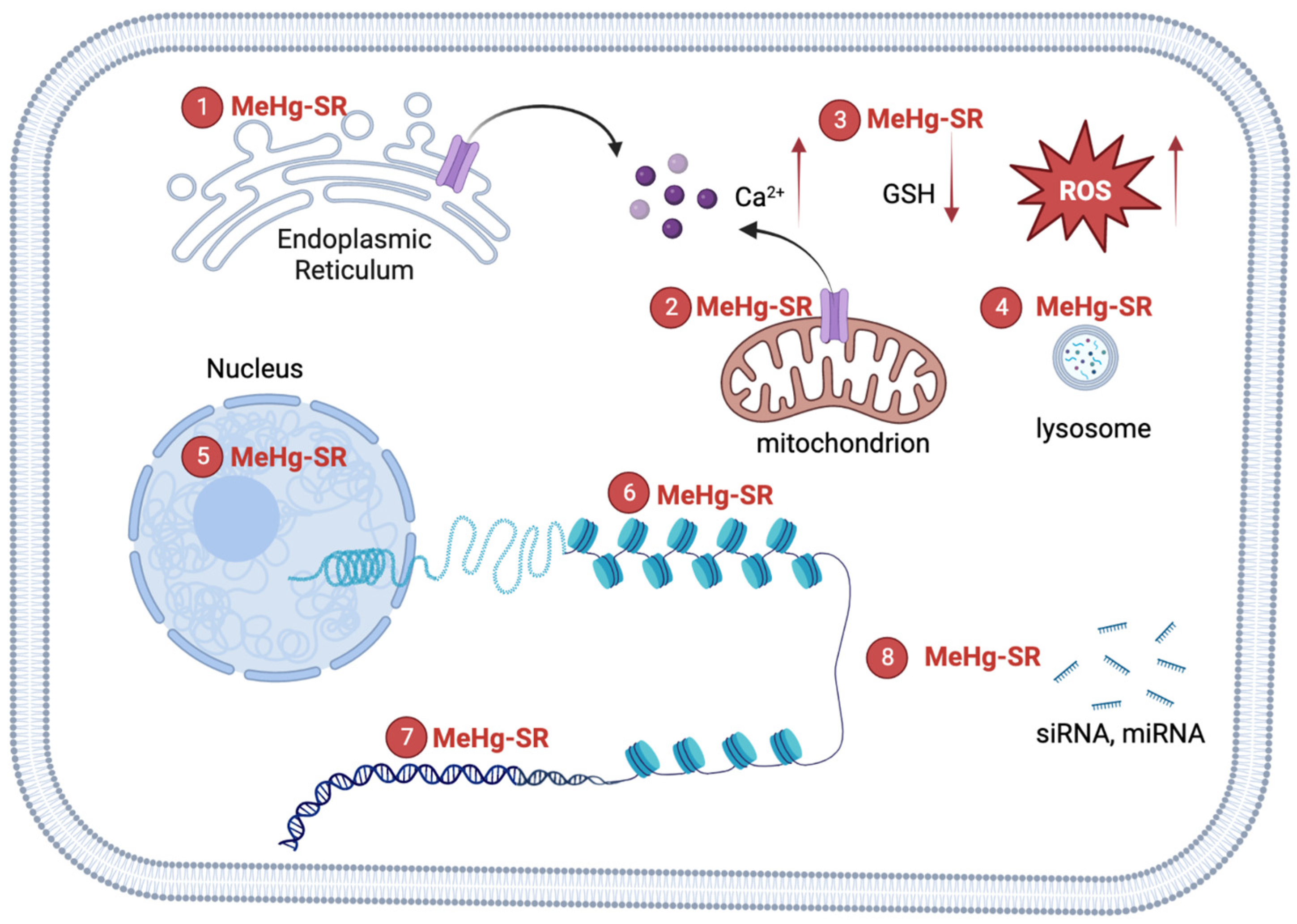 Toxics 11 00072 g001