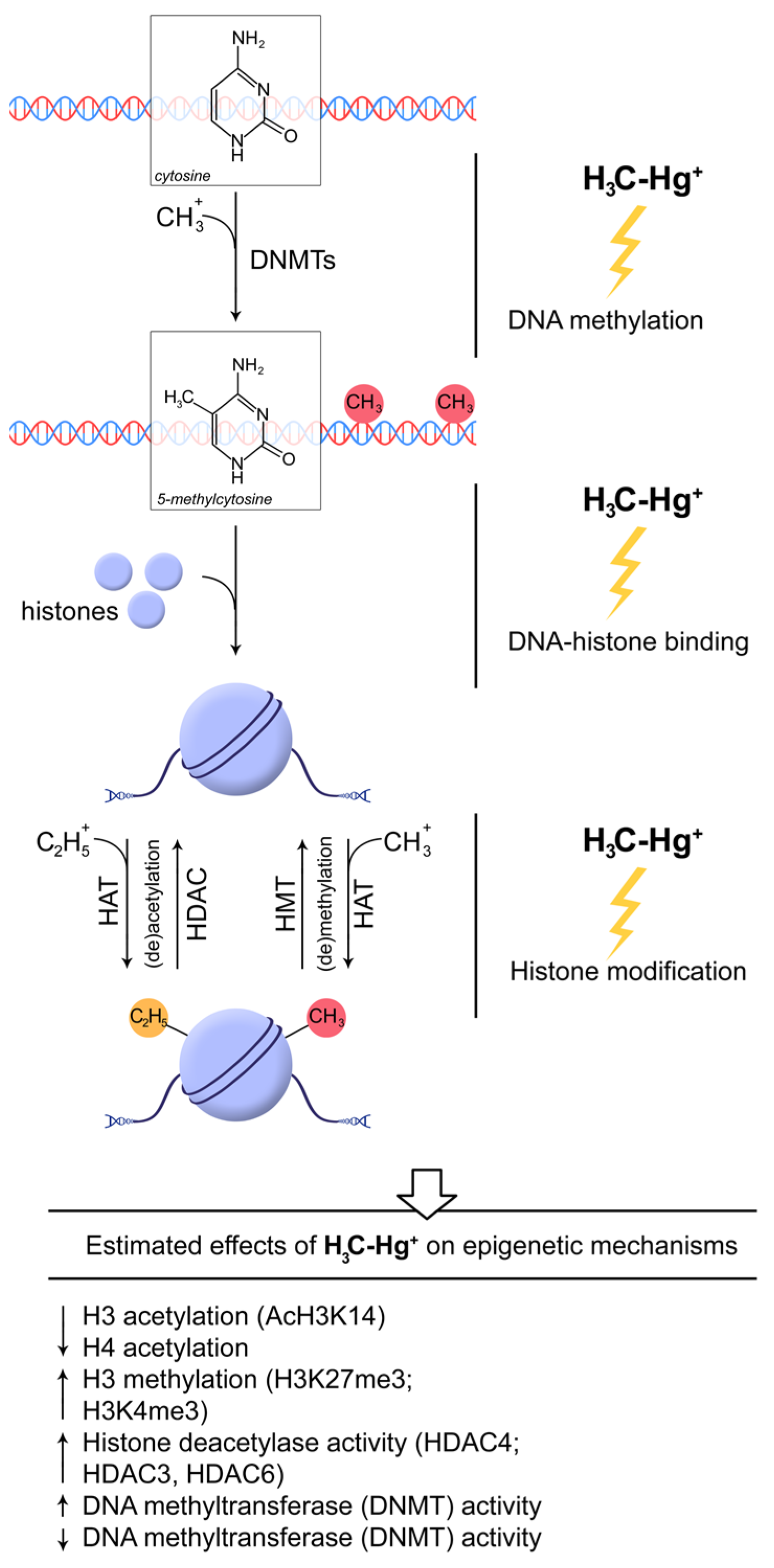 Toxics 11 00072 g002