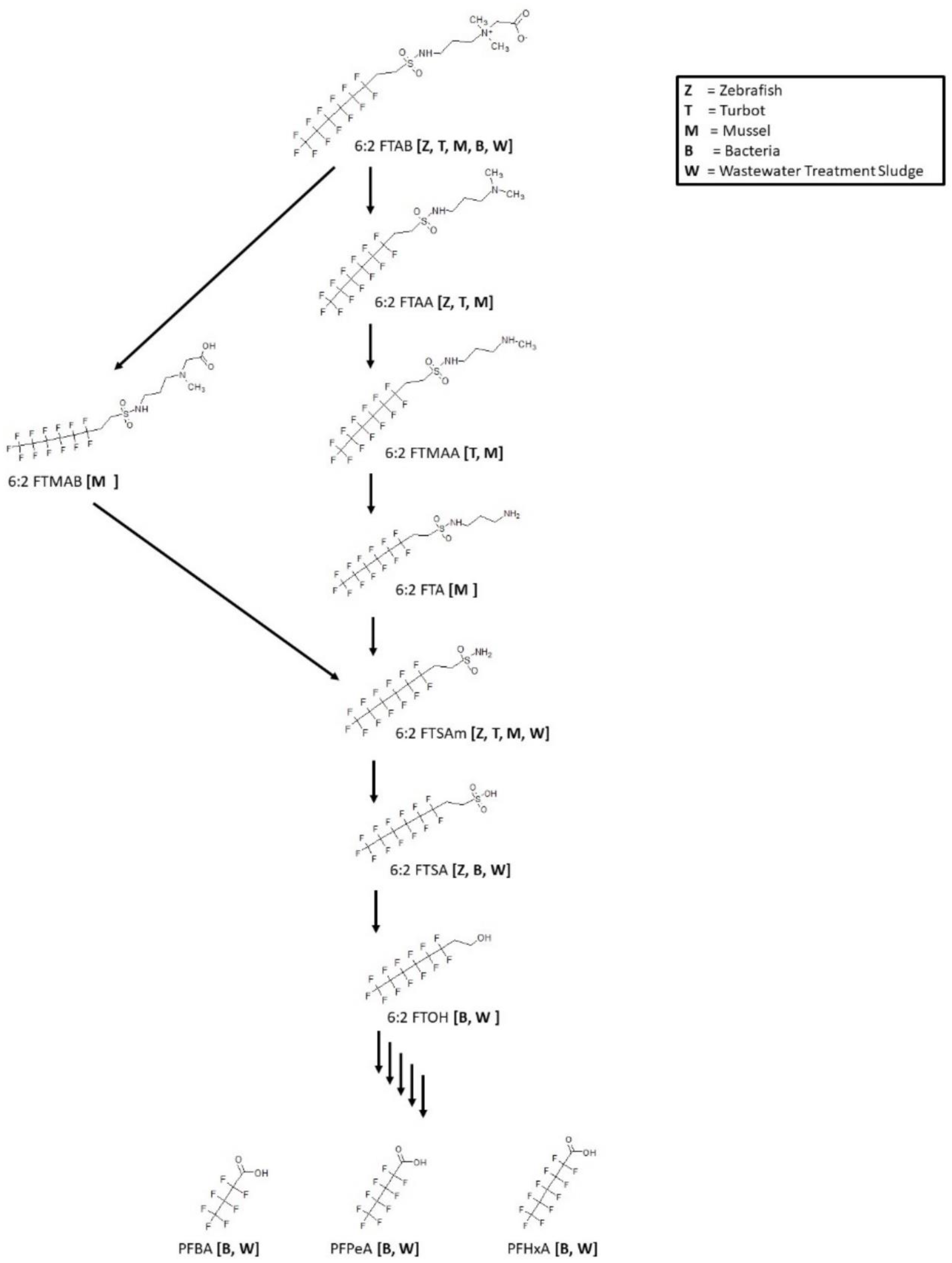 Toxics 11 00074 g015 Toxics 11 00074 g015