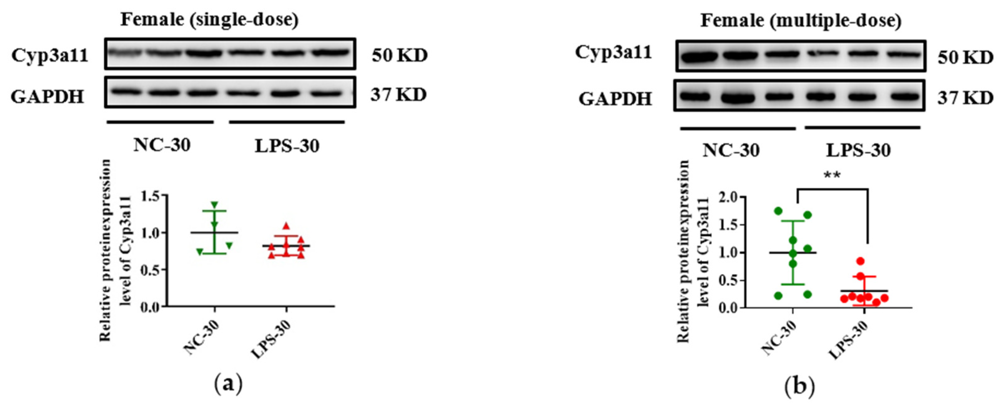 Toxics 11 00082 g005a Toxics 11 00082 g005a