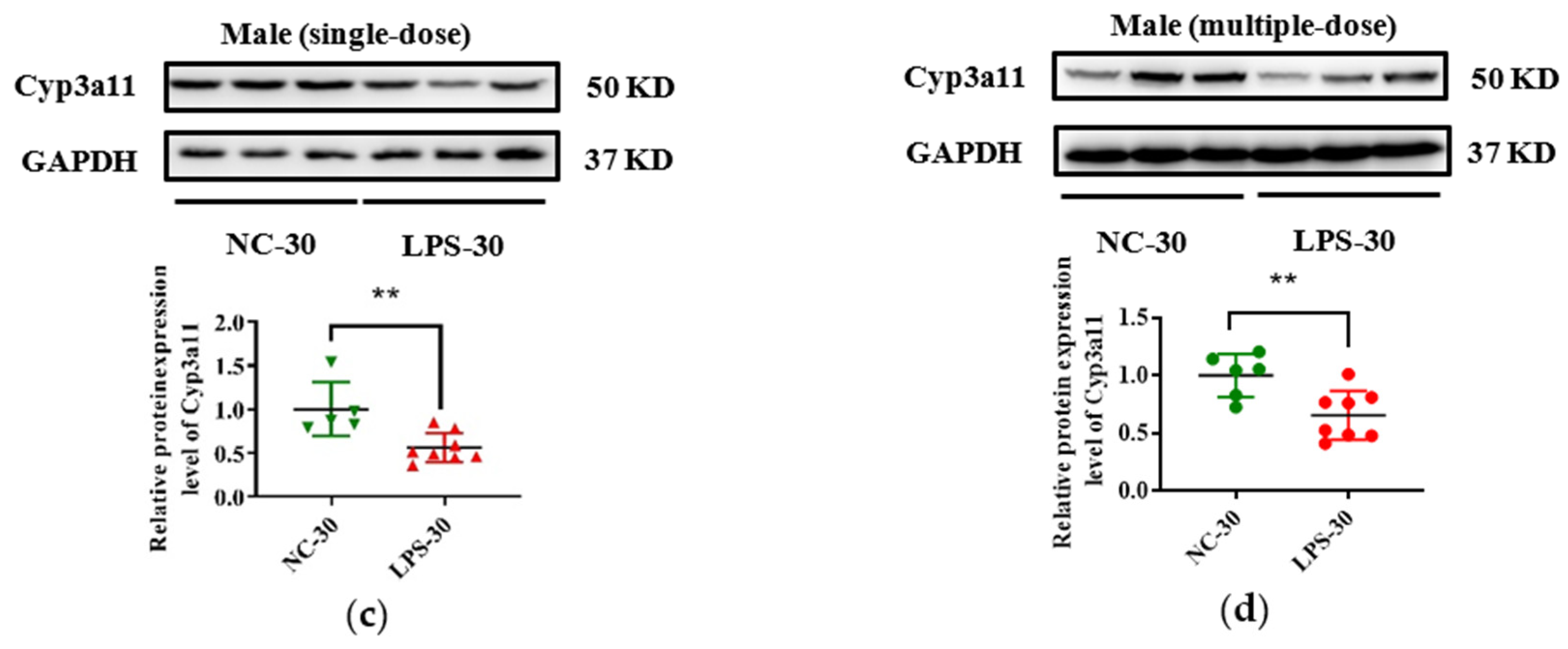 Toxics 11 00082 g005b Toxics 11 00082 g005b