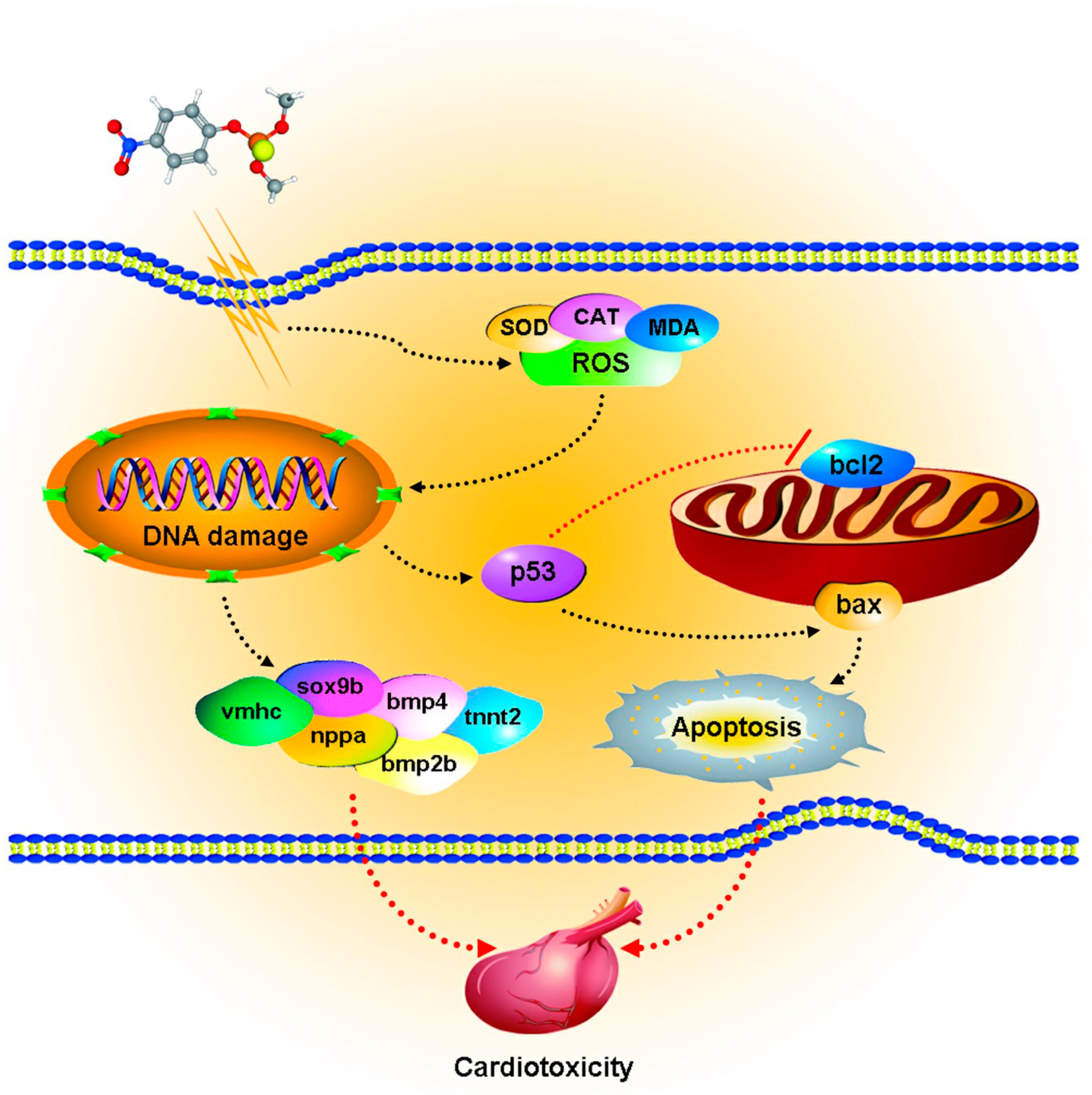 Toxics 11 00084 g007