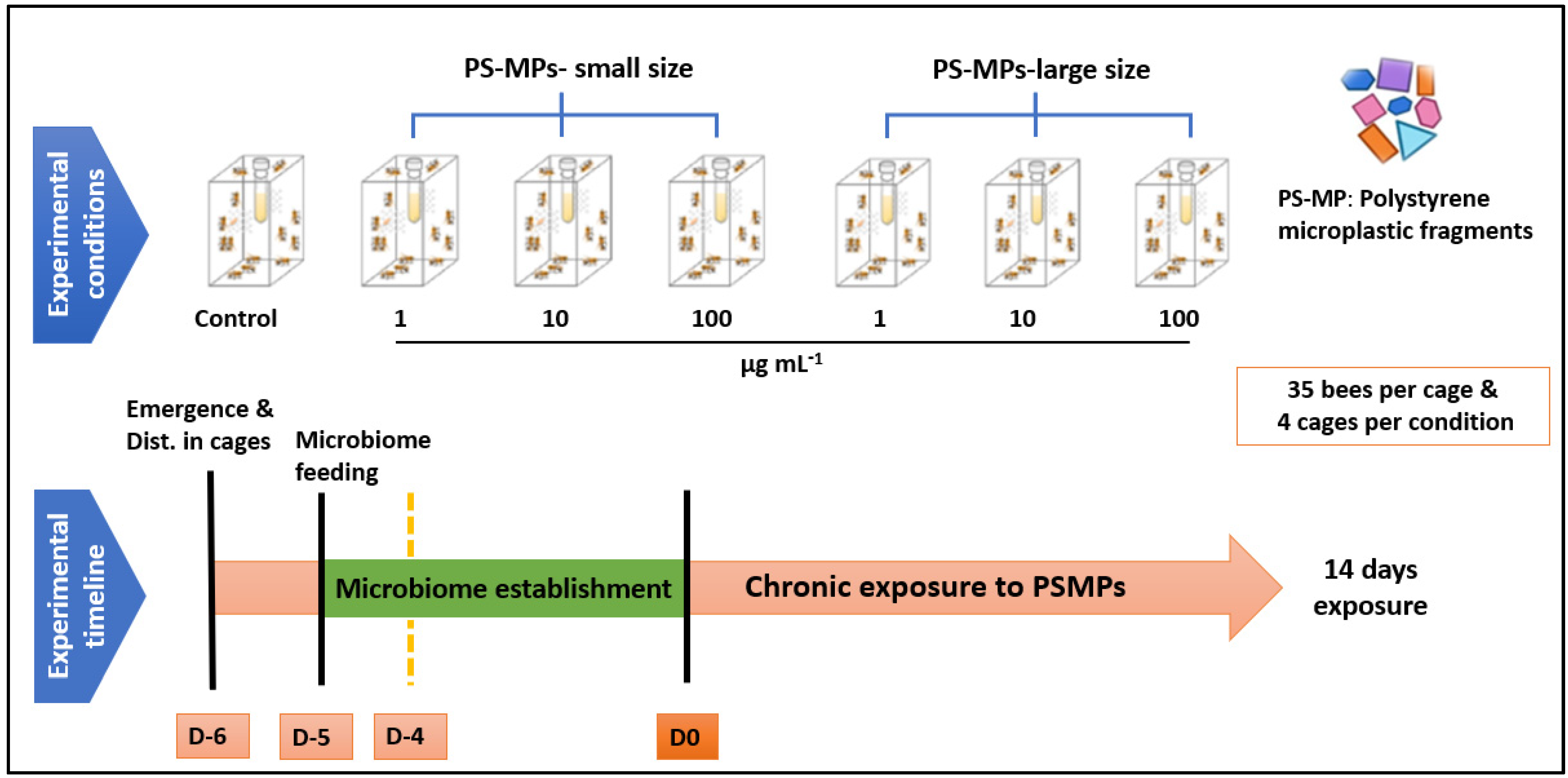 Toxics 11 00100 g002