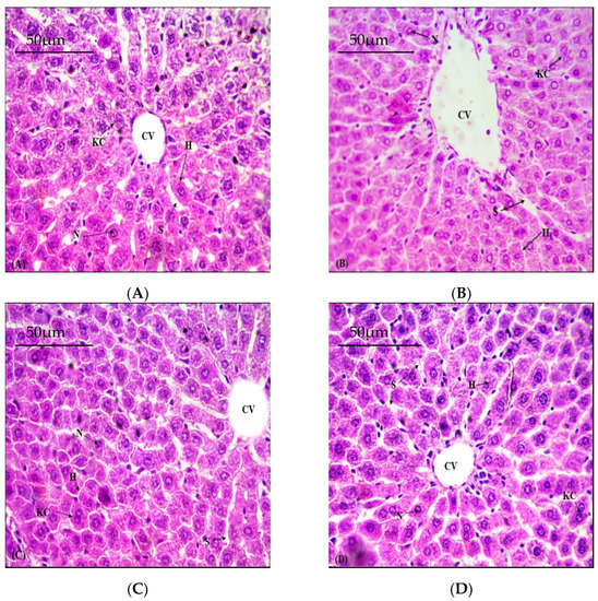 Toxics 11 00110 g001