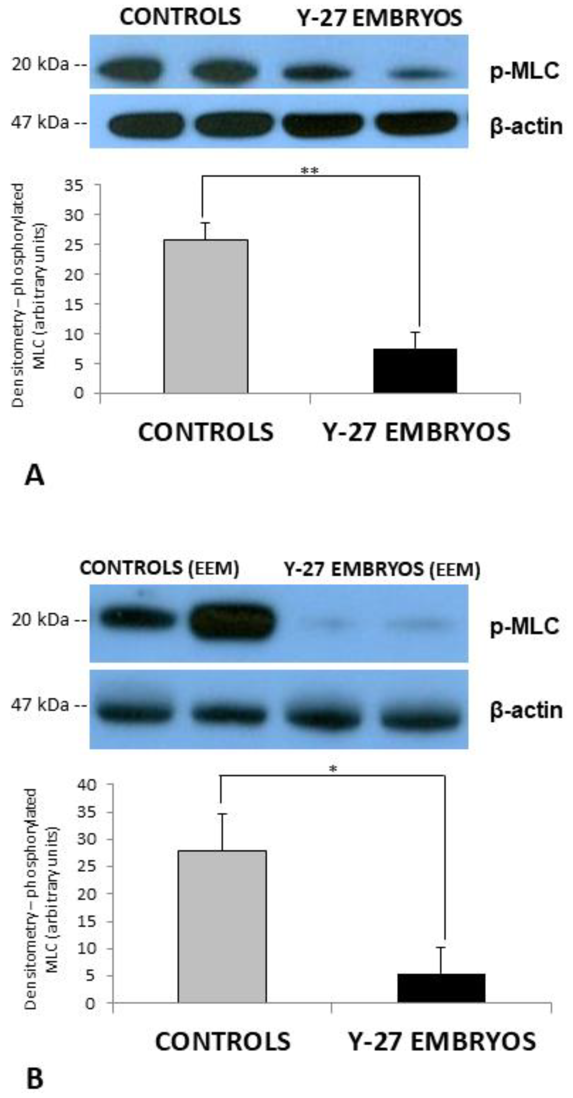 Toxics 11 00134 g007 Toxics 11 00134 g007