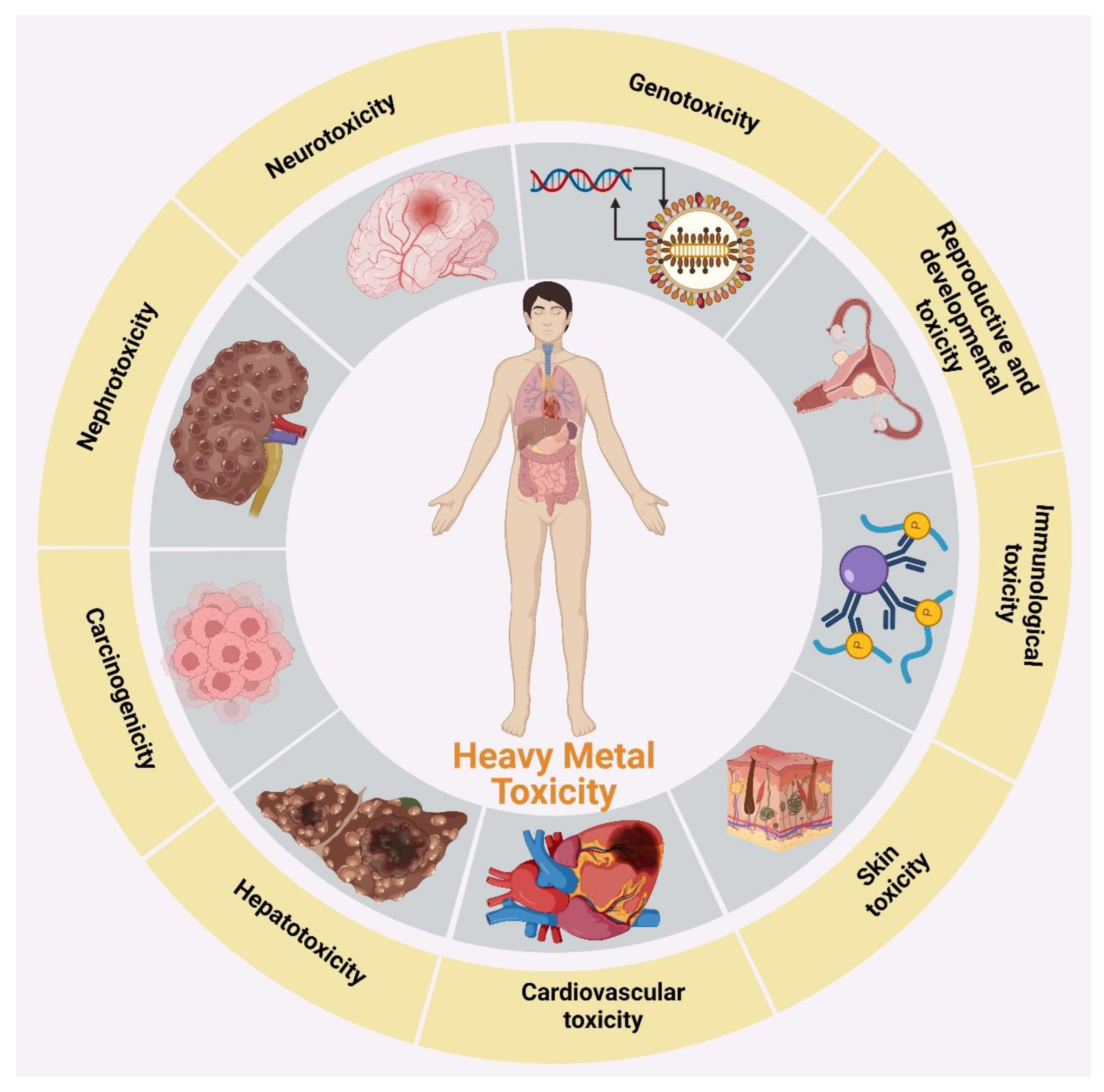 Toxics 11 00147 g001 Toxics 11 00147 g001
