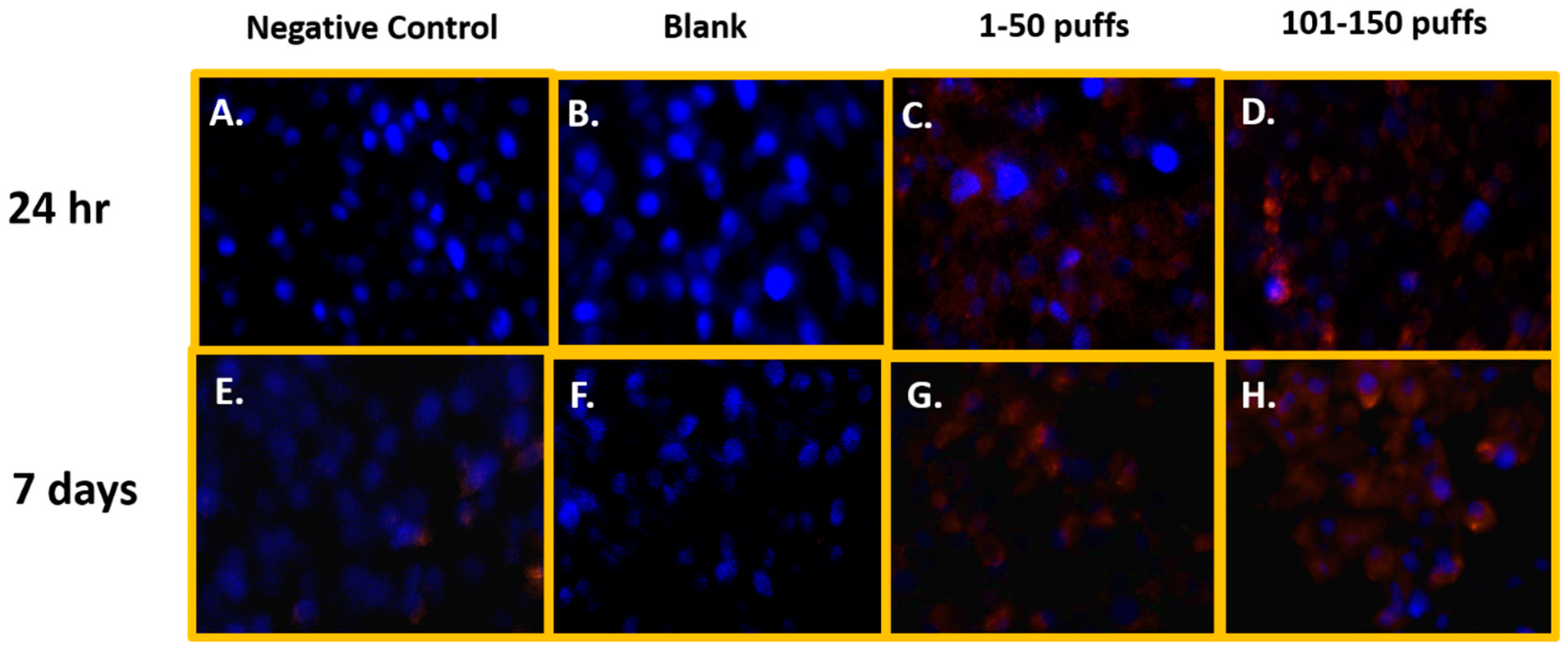 Toxics 11 00155 g001