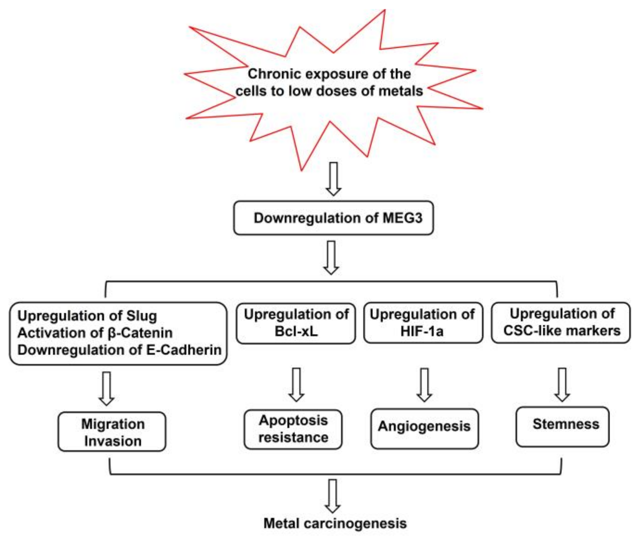 Toxics 11 00157 g001