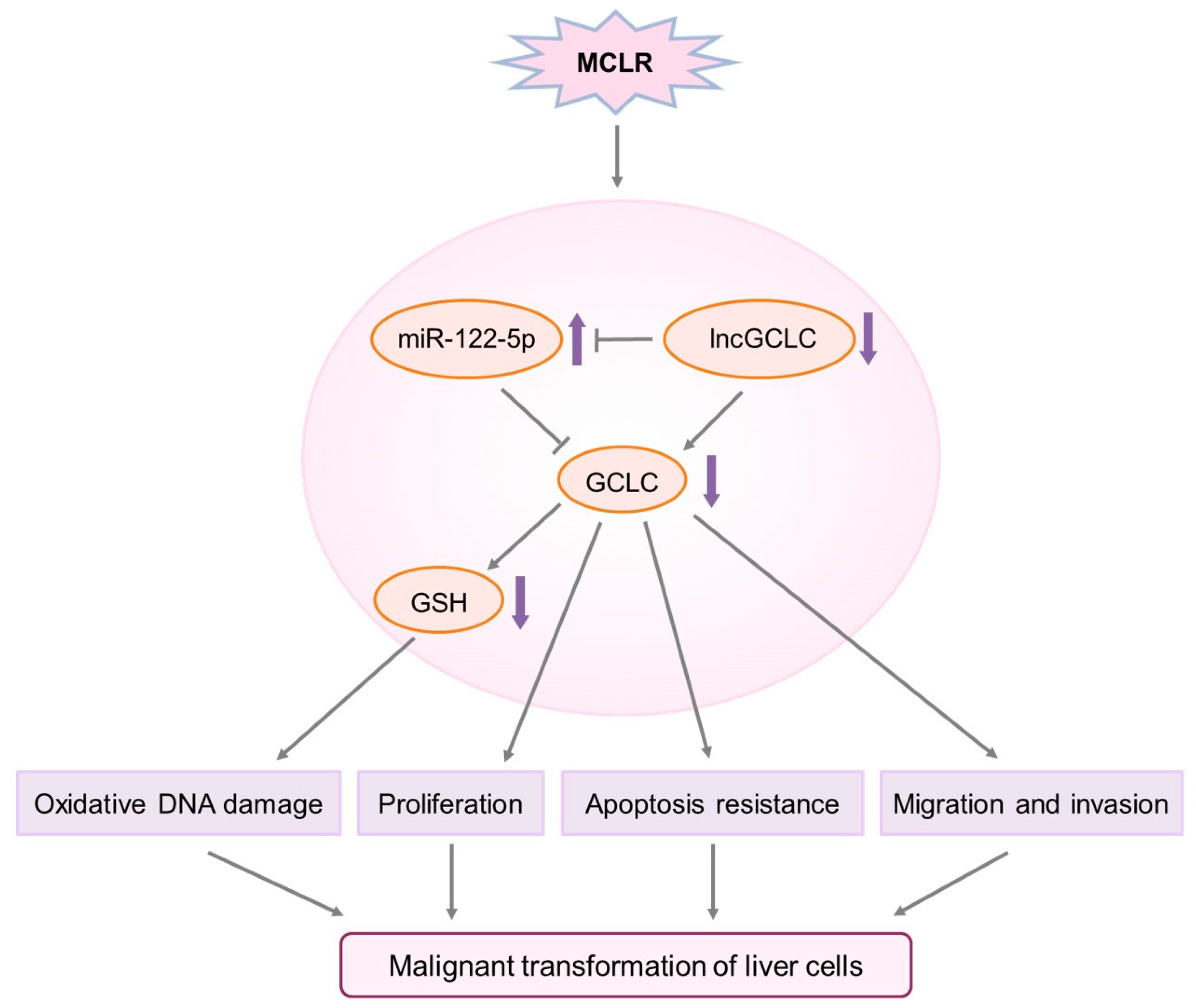 Toxics 11 00162 g007 Toxics 11 00162 g007