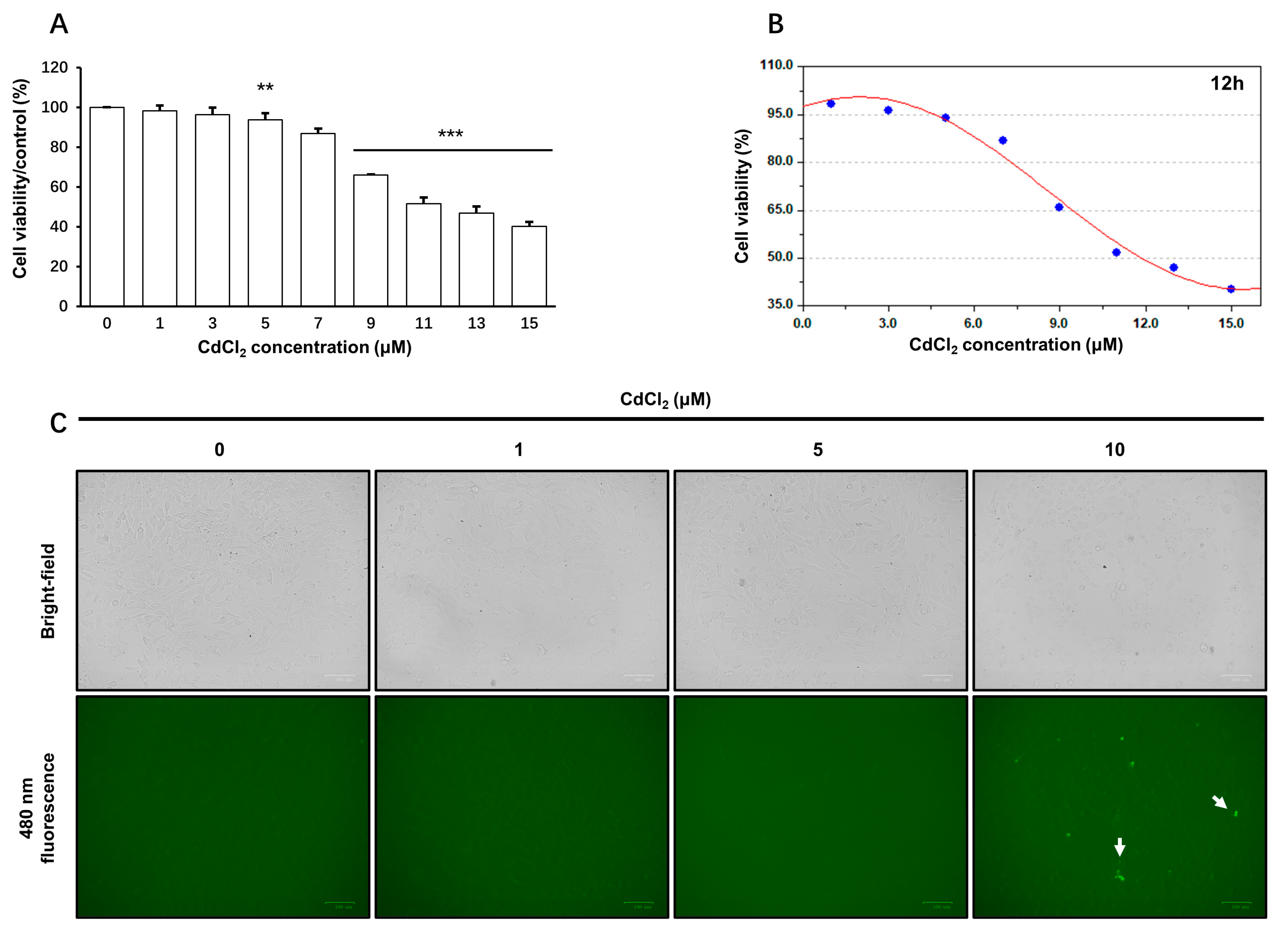 Toxics 11 00167 g001