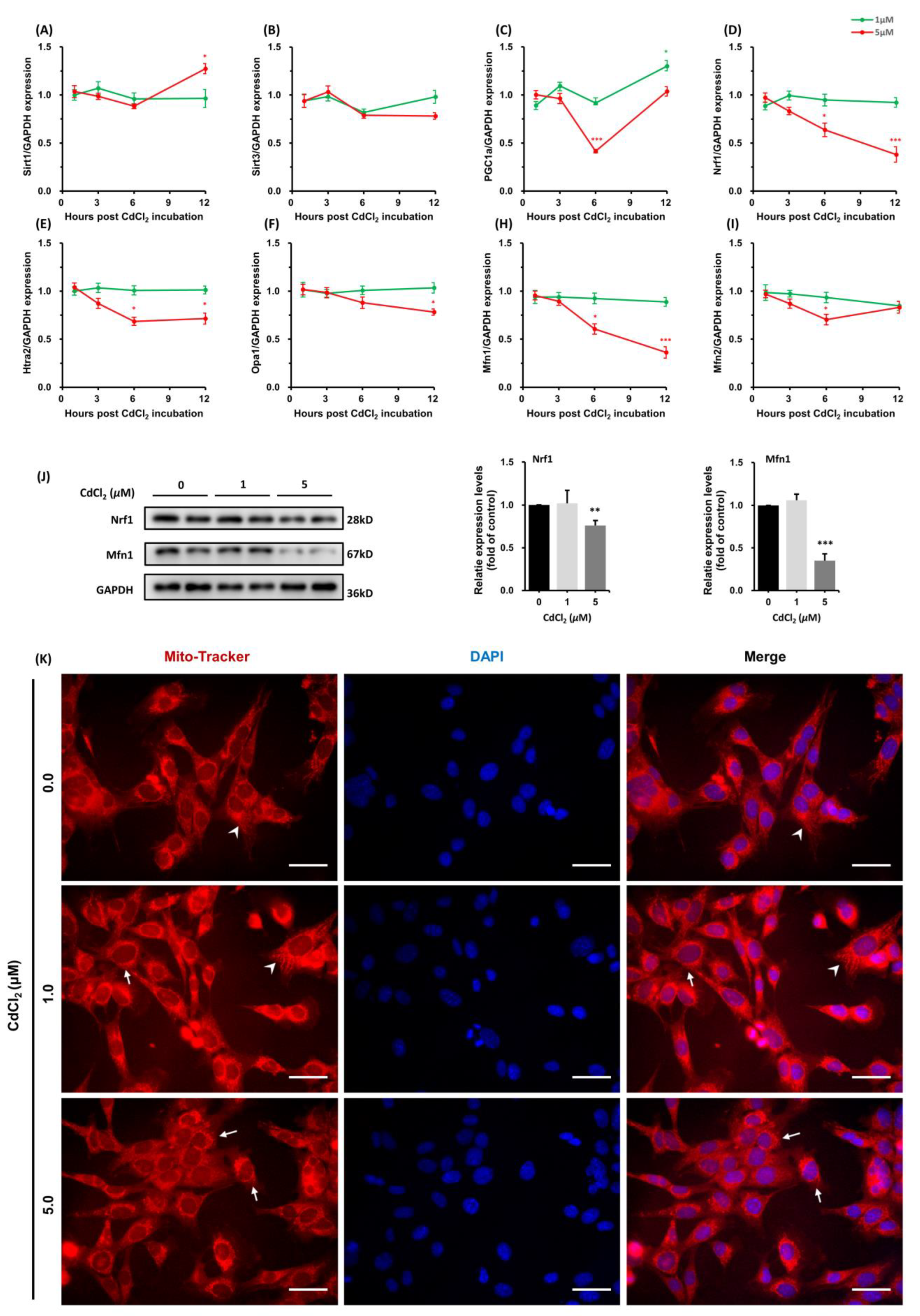 Toxics 11 00167 g003
