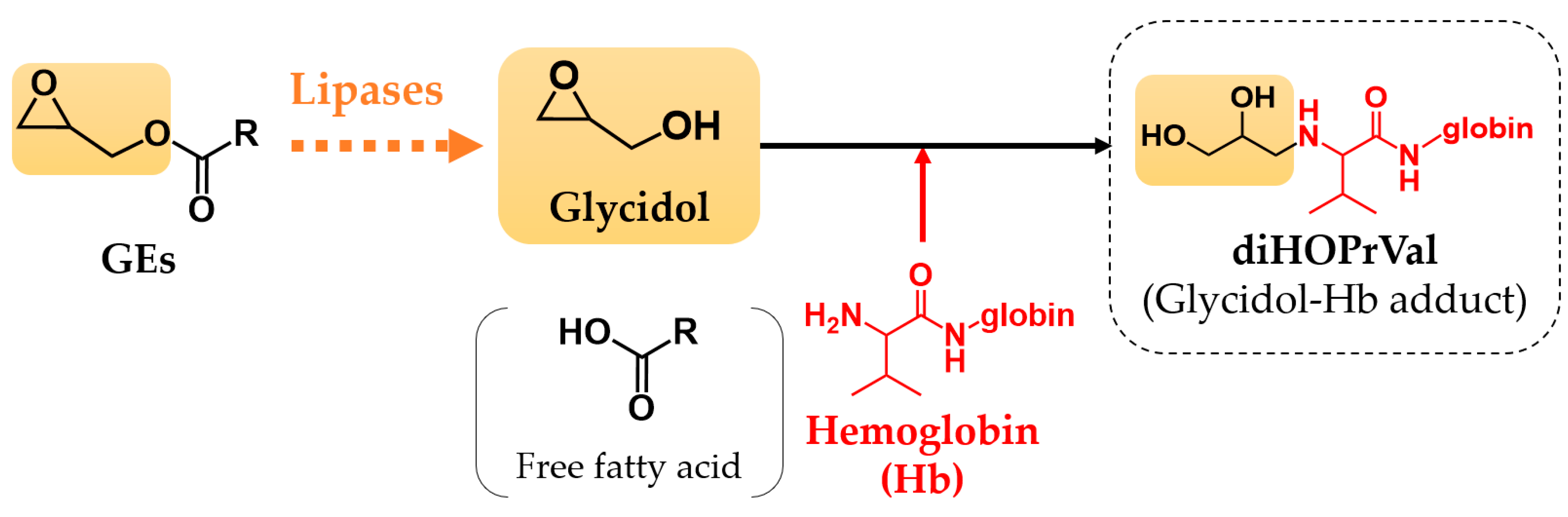 Toxics 11 00175 g001