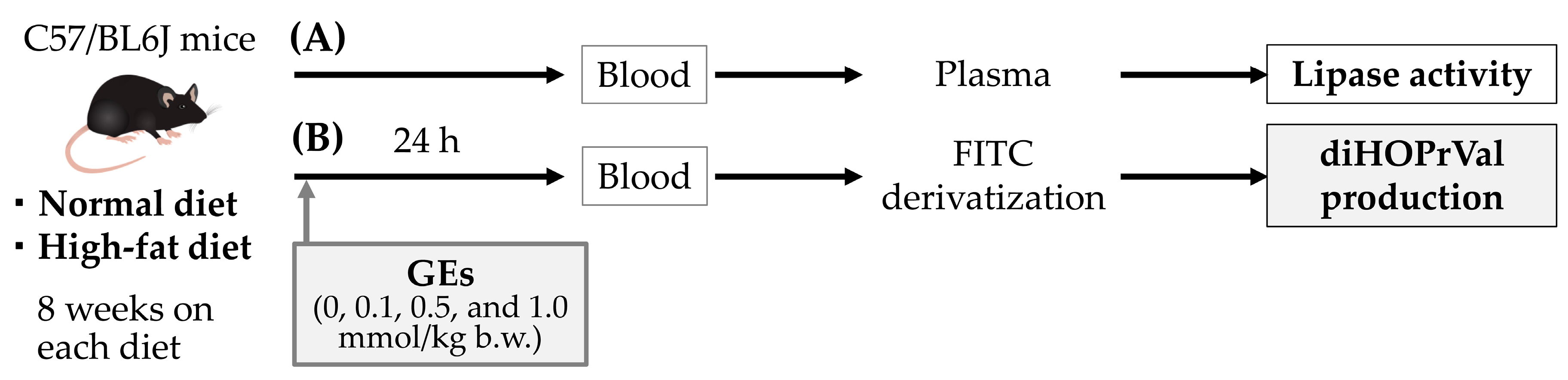 Toxics 11 00175 g002