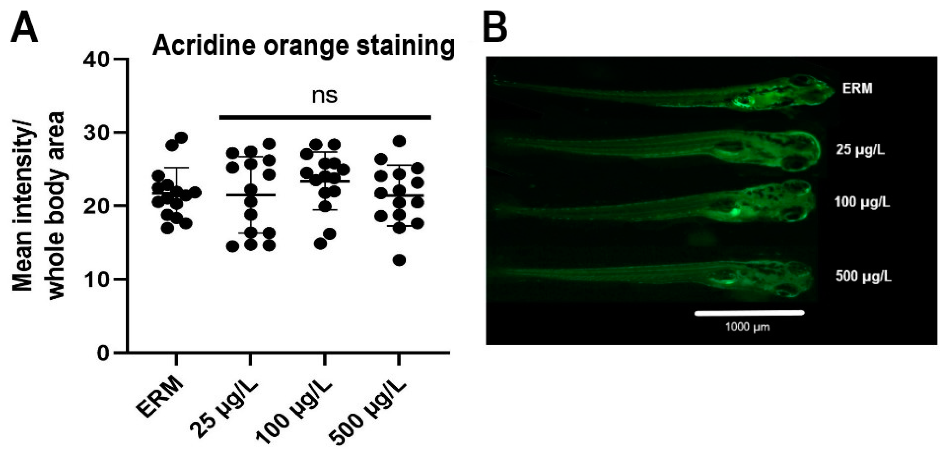 Toxics 11 00178 g006