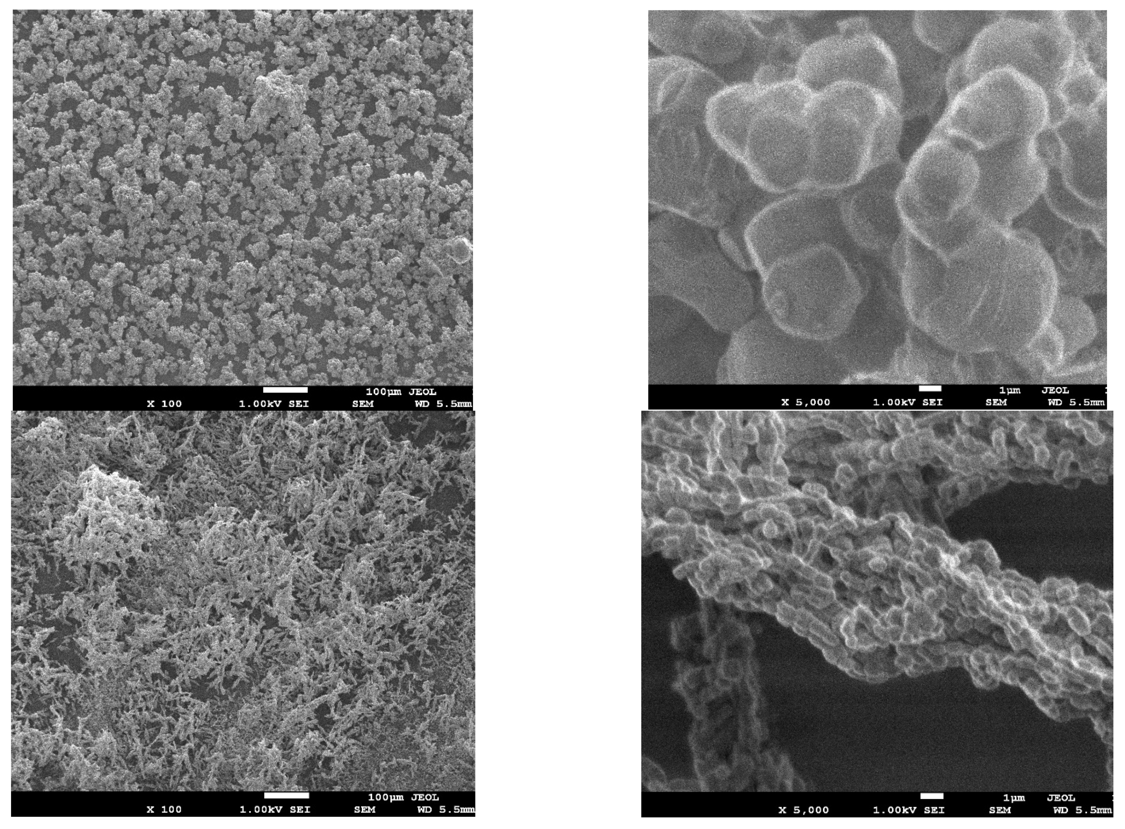 Toxics 11 00205 g002