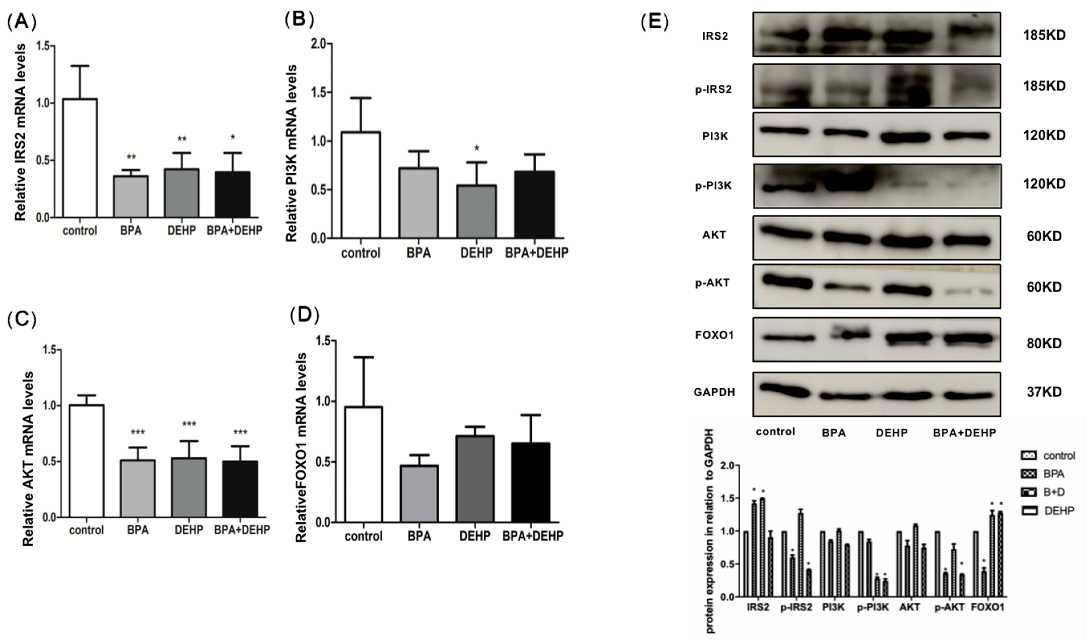 Toxics 11 00216 g006